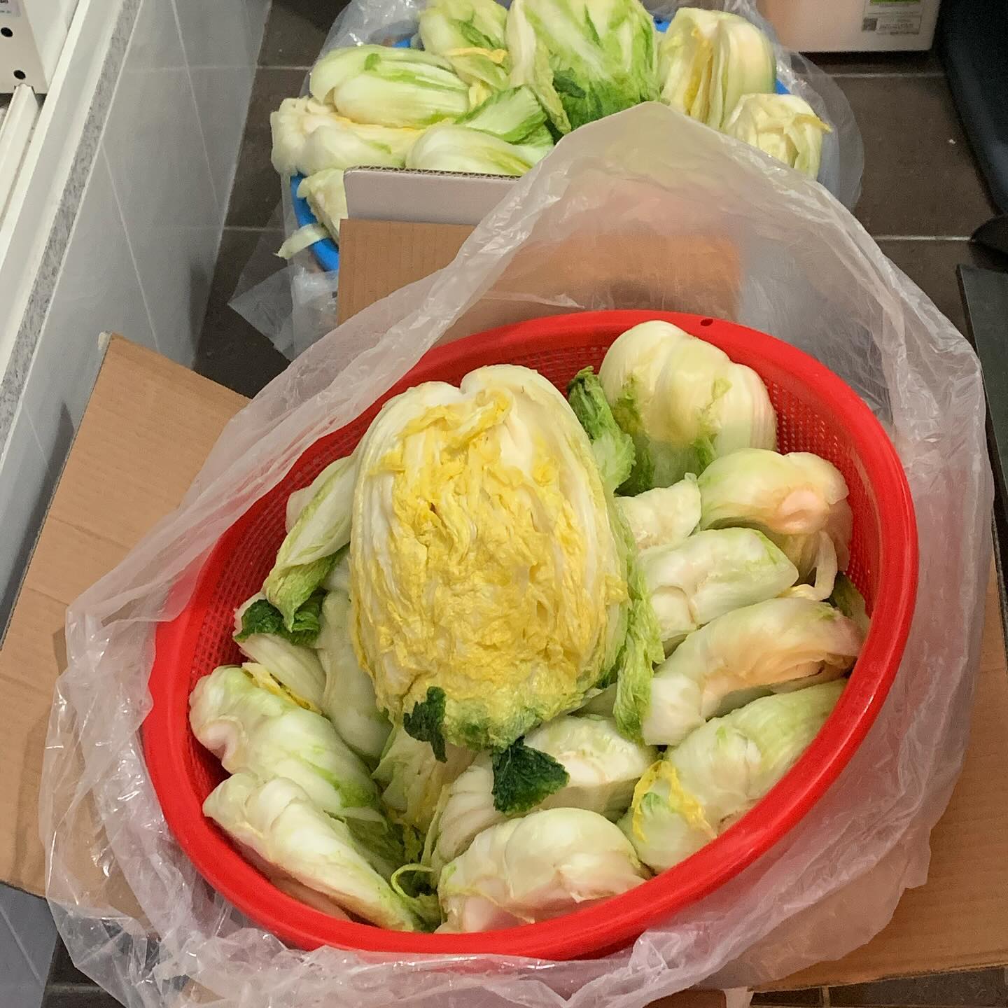 외할머니가 살아계셨을 때에는 , 할머니가 집된장이며 고추장등을 직접 담궈 보내주셨고 김장 철이 되면 엄마, 이모들, 숙모들이 할머니집에 모두 모여 다같이 김장을 했다 . 우리 엄마는 할머니가 담궈주신 된장(찌개) , 할머니가 담구신 김치로 음식을 해주셨지만 엄마가 한 음식은 할머니 집에서 할머니가 해주시는 맛이 안났다 . 

할머니가 돌아가시고 나니 점 점 우리 엄마의 음식에게서도 할머니가 보였다 . 지금은 완벽히 할머니가 해주셨을때의 그 맛이 난다 . 

아마도, 나의 엄마도,  엄마의 엄마가 계셨을 때에는 그저 딸 이었나보다 . 엄마의 엄마가 안계시게 되었을 때 . 그때서야 비로소 , 엄마도 엄마가 되었을지도 모르겠다 . 

먼 훗 날. 내가 엄마가 너무 그리운데 볼 수가 없는 날이 오면 나도 그 때에 엄마한테 배운 음식으로라도 엄마를 띄울 수 있다면 좋겠다. 

올해는 엄마에게 직접 김장을 배웠다 . 2주 전부터 김장 재료들을 서울로 올려보내시고 배우는 입장이면서 갈 여건이 안되는 딸 때문에 황금같은 주말에 시간을 쪼개 서울을 다녀가셨다 . 

가능하면 아주 오래 오래 그 엄마의 맛을 터득하는 날은 오지 않기를 .