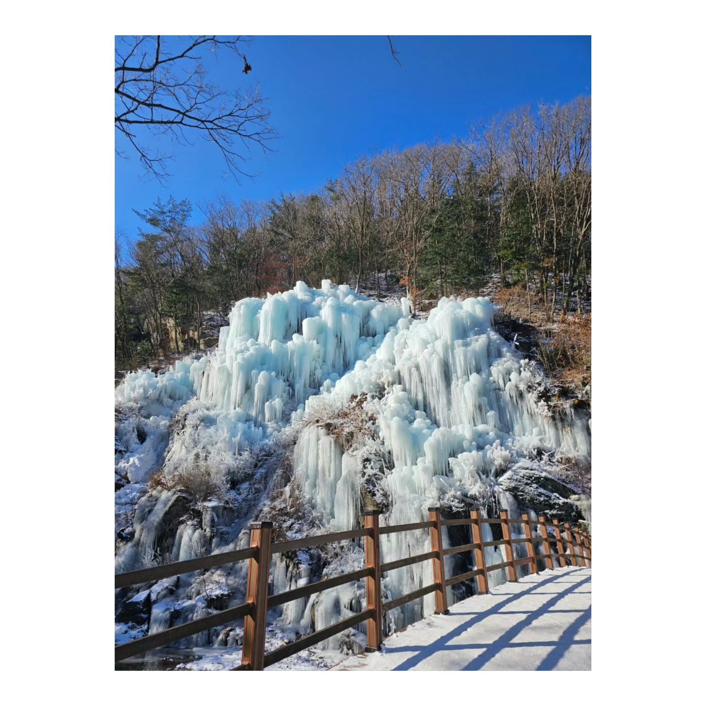#일상

서울에서 당일치기로 다녀오기 좋은 
가평 어비계곡 ♥︎

겨울만되면 멋찐 얼음빙벽을 볼수있어요.

다음번에 가면 더 완벽한 얼음빙벽을 볼수있겠지?

🅿️ 경기도 가평군 어비산길233 (주차비 유료)

#가평당일치기
#가평가볼만한곳  #얼음빙벽  #얼음동산 #어비계곡