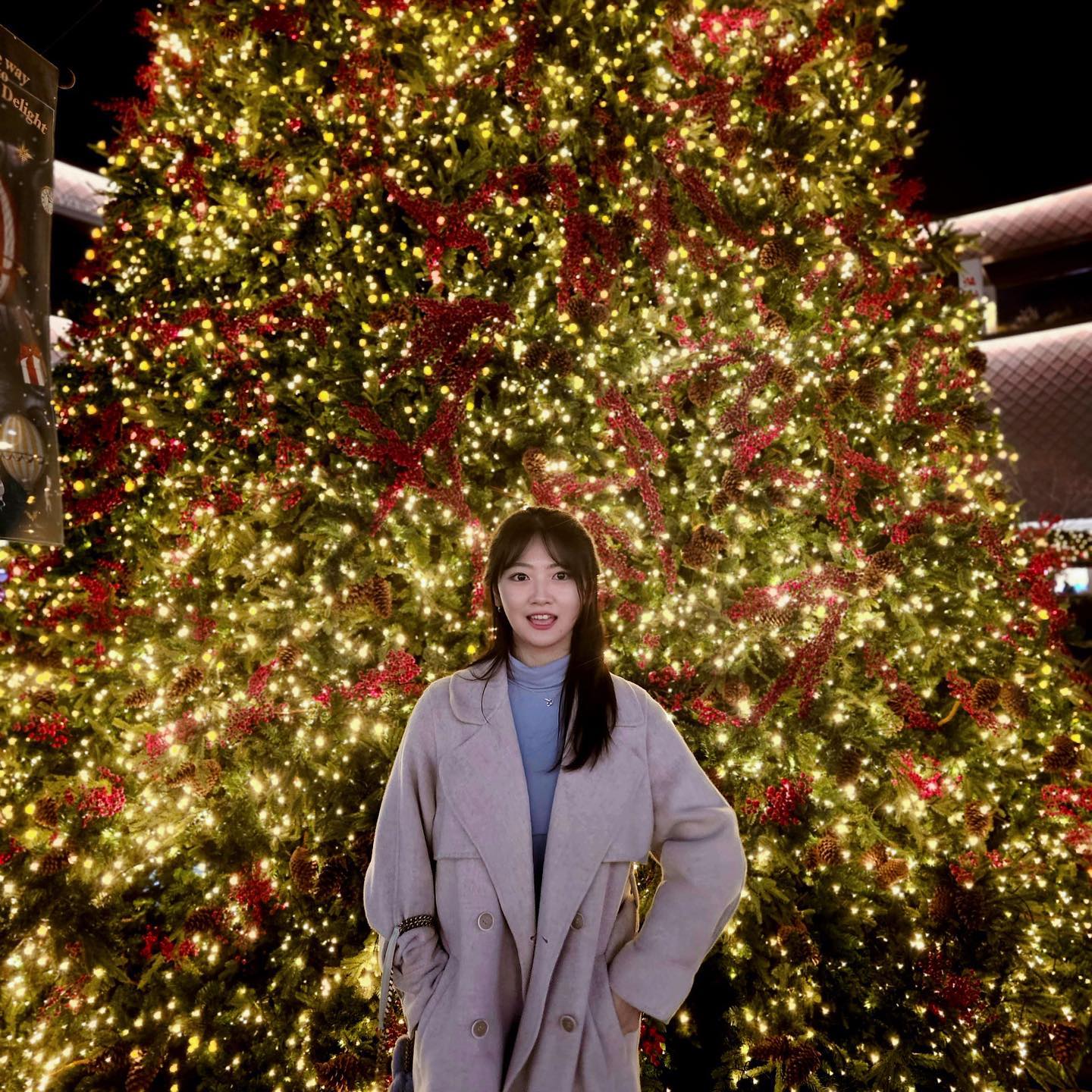 크리스마스에 진심인 인간🎄☃️🐻