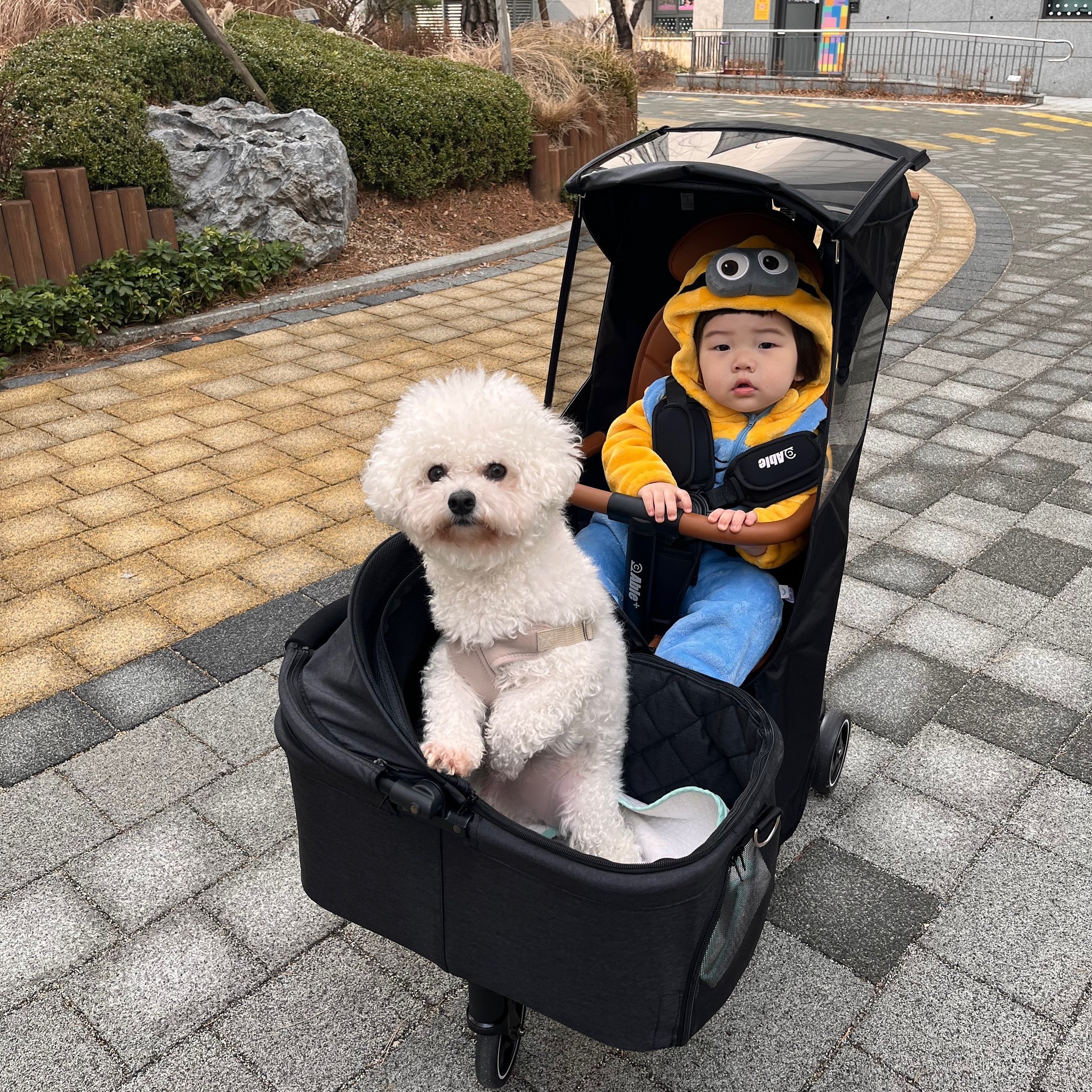 애기유모차에 태우고 몽그리 산책다니기 넘 힘들어서 못했었는데. 애개육아에 아주 좋은 유모차구매!!!! 이제 매일 산책나가자❤️ #에이블유모카플러스 #에이블트라이크 #휴대용유모차 #트라이크 #애개육아소통 #애개육아 #트라이크 #내돈내산 #유모카