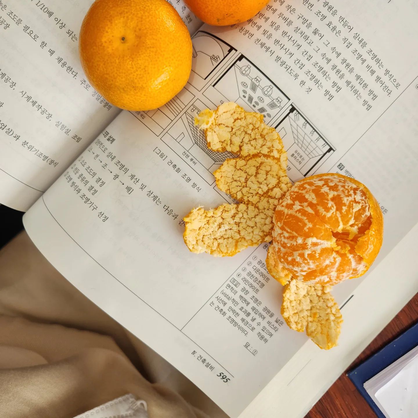 #금요일

귤로 해장중
잠이 부족하다 잠이 부족해

#일상#직장인#공부중