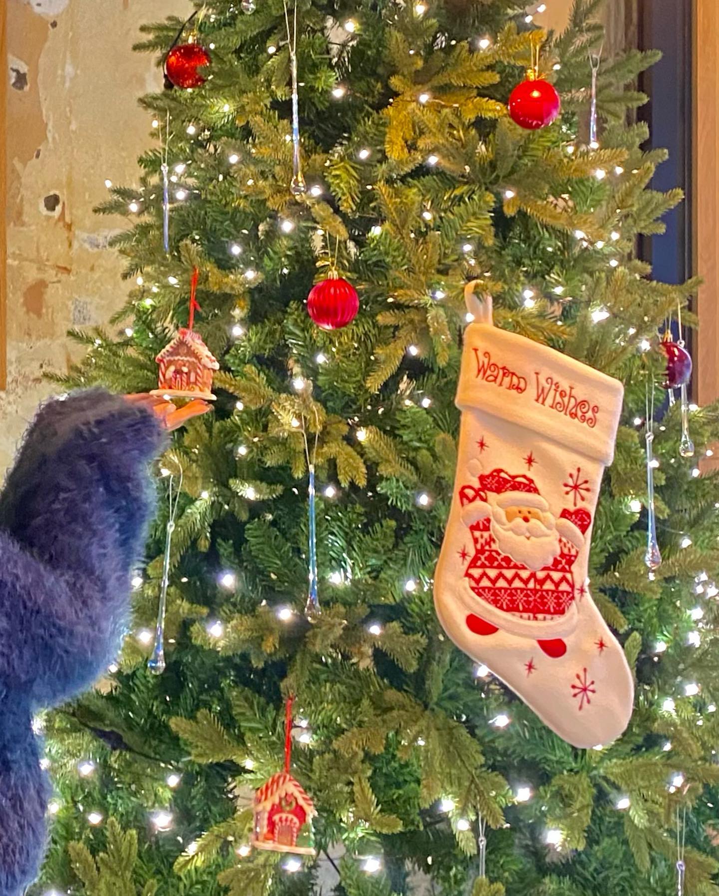 트리사냥 스따또🎄✨