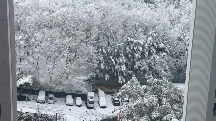 (TMI만발) (중학생 일기 같음 주의) 
 내가 좋아하는 것들을 눈이 와서 더 만끽했던 이번 주❄️🤍
 눈이 오면 시공간을 넘나들며 행복해하는 NT의 머릿 속🤫

1️⃣ 매일 일어나기 싫어도 오늘은 어떤 뷰일까 하는 기대감으로 매일을 일으켜내는데, 11월 27일의 아침은 올해 본 아침 뷰 중에 가장 특별했다. w/아침부터 캐롤 송을 보내 준 동료 덕에 더 낭만적이고 감격스러움🎧🎼
2️⃣ 웃기게도 나는 비 오는 날, 밤 늦은 시간, 장거리 운전을 좋아하는 편인데, 눈 오는 날의 운전은 또 얼마나 경이롭던지.🚘 도로 끝에 떡하니 버티고 있는 산이며 양옆으로 눈이 쌓인 나무들은 마치 홋카이도 설경 트립을 떠올리게 했다. 구성남 언덕 드라이브 마저 놀이공원인양 신나버림,,🤓
3️⃣ 가장 좋아하는 해질 녘 시간,. 어두 침침 눈 뷰가 석양과 만나 경이로운 풍경이 나타났다.🌇
4️⃣ 주방 뷰마저,,, 꼼지락 꼼지락 게으른 주방 일을 할 땐 최애 영화 러브레터 한 장면이 떠오르며 💌 멀리 출장 가 있는 남편에게 오겡끼데스까 🫣
5️⃣ 토요일엔 조금 치워진 눈 사이로 3km 넘게 걸었다. 올해 유독 늦은 단풍에 선물 같던 함박 눈의 조화라니. 눈 때문인지 자꾸 일본 어딘가가 떠올랐다. 🚶🏻‍♀️
6️⃣ 와중에 오랜만에 연극 보러 간 명동 거리는, 반짝이는 백화점 네온과 수많은 외국인들로 붐벼 십여년 전 얼어붙은 유학생의 마음으로 수 없이 거닐던 런던 옥스포드 스트리트를 떠올리게 했다. 🎫
7️⃣ 어제는 치워진 눈만 걷다가 오늘은 강아지가 이끄는대로 눈 위에 같이 발자국을 찍어가며 걸었다. 🐾 몇 개월전 태어난 이 강아지는 눈을 맛보고 눈만 골라다니며 아주 신이났다. 덕분에 사람 발길이 닿지 않아 눈 쌓인 곳까지 사뿐 사뿐 쾅쾅!
8️⃣ 눈이 폭닥 폭닥 내리던 그 날은 갑자기 새로운 책이 읽고 싶어졌는데 바로 한강 작가의 작별하지 않는다 였다. 운명처럼 책의 첫 문장은 성근 눈이 내리고 있었다. 였고,, 소설은 계속해서 눈 오는 씬을 섬세하게 묘사하는데, 그 중 크게 와닿는 문장들이 있었다.📚

 눈은 거의 언제나 비현실적으로 느껴 진다. 그 속력 때문일까. 아름다움 때문일까? 영원처럼 느린 속력 으로 눈송이들이 허공에서 떨어질 때, 중요한 일과 중요하지 않은 일이 갑자기 뚜렷하게 구별된다. 어떤 사실들은 무섭도록 분명 해진다. 45p

 우리는 따뜻한 얼굴을 가졌으므로 그 눈송이들은 곧 녹았고, 그 젖은 자리 위로 다시 새로운 눈송이가 선득하게 내려앉았다. 83p

 항상 좋은 일만은 있을 수 없고, 극복해야할 일들도 많았지만 어쩐지 책 속 구절들 속에서 중요한 것이 무엇인지, (그런 것들에 마음 쓰는 건 중요하지 않다.) 그리고 따뜻한 얼굴을 가졌기에 차가운 것들은 금새 녹아내리고 잊혀져버릴 수 밖에 없음을 개운하게 알아버리는 느낌이었다. 

 이게 고작 첫눈이 준 감흥이라니, 올 해 겨울도 마음껏 중요한 것들에 마음을 쏟으며 행복해해야지❄️🐾🤍

📌좋아하는 것
#아침 #드라이브 #풍경 #게으름 #영화 
#극장 #런던 #강아지 #책 #산책