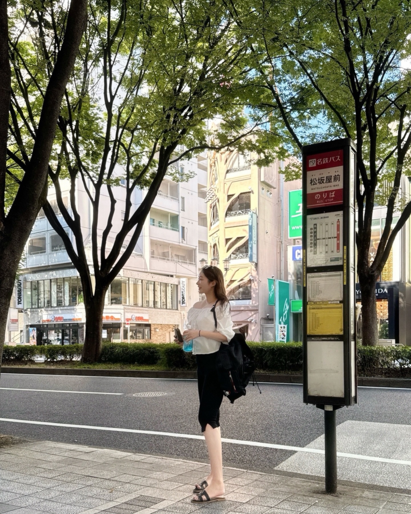 푸릇푸릇 여름 나고야 🍃🐸💛💚