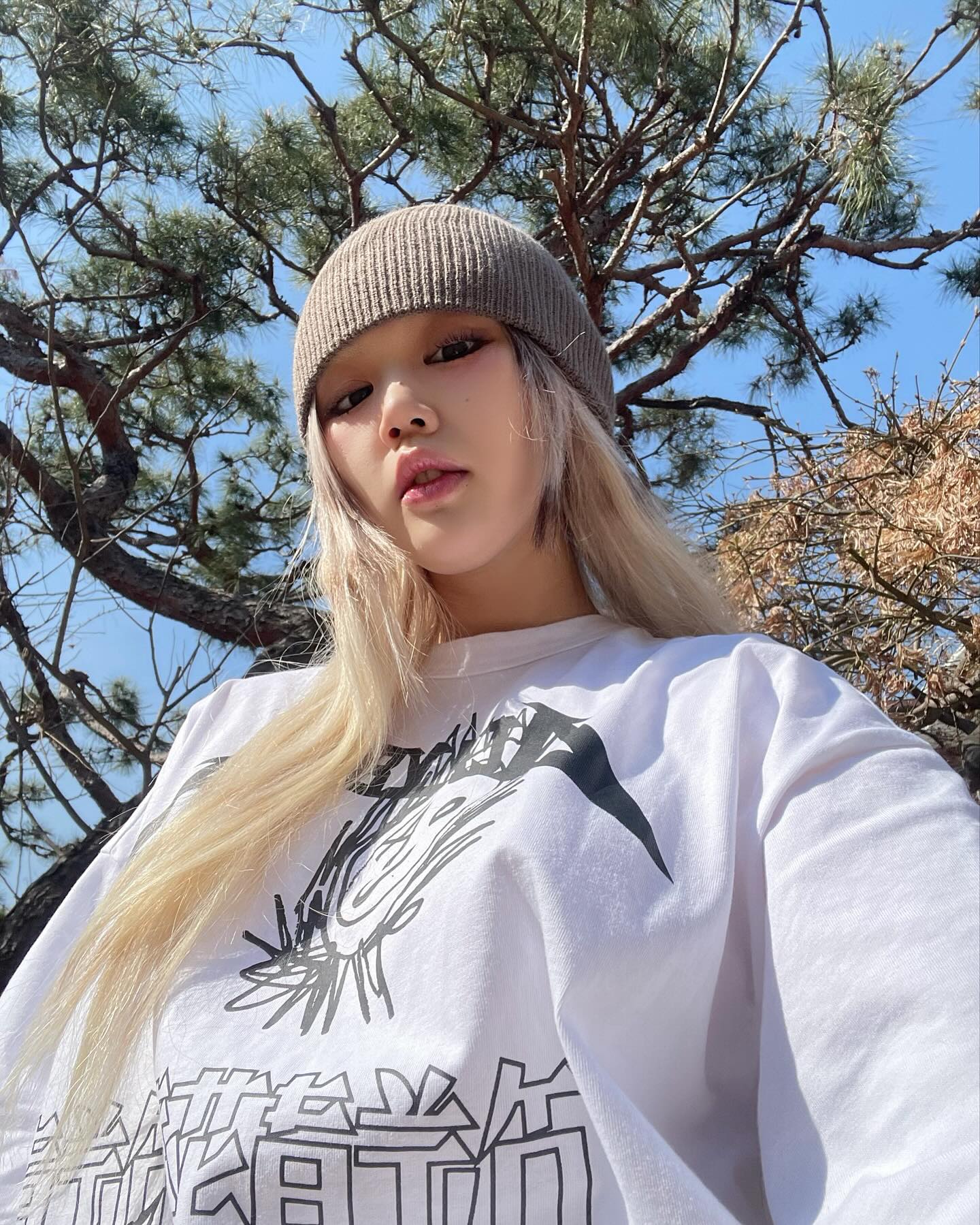 🌳🧃🌳🧃🌳🧃🌳