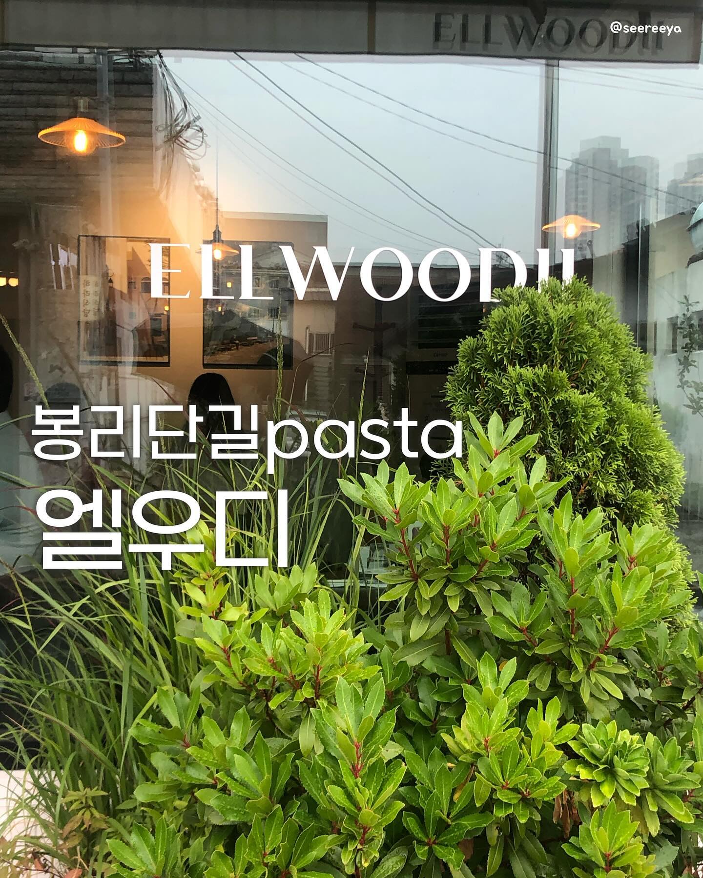 #엘우디
꾸덕하고 머쉬룸향이 은은한 크림 리조또, 깔끔하고 독특한 식감의 오일 파스타, 기본적인 시저샐러드도 맛있었지만 (식전빵은 손대지도 않았네..)
쉬림프바질 크림 파스타가 나의 원픽!!!!
파스타는 쉬림프랑 크림이 진리🦐💚
미소 소스를 이용한 대표메뉴인
가지구이를 못 먹어서 좀 아쉬웠어.
그래도 만족했던 식사😋
플랜테리어, 조명, 통유리가 인상 깊었던 엘우디 감성🌱
떠들긴했지만 조용히 해야할 것 같은 분위기라
커플들 데이트 장소로 좋을 것 같애-
----------------------------------------------
📍경남 김해시 봉황대길 47 1층 ELLWOODII
🚃경전철 봉황역 3번 출구에서 508m
📞0507-1398-0426
•영업시간 11:30 - 21:00
•브레이크타임 15:00 - 17:00
•주문 마감시간: 점심(2시 30분)/ 저녁(8시)
•매주 일요일 정기휴무
✔️7월 휴무: 7, 14, 17, 18, 19, 21, 28일