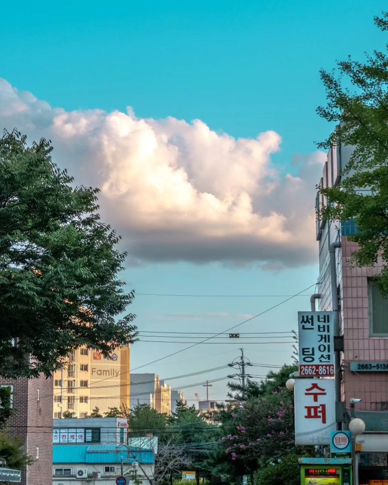 하루하루 시간이 너무 빨리 가는 듯한 요즘
아침 출근길, 점심메뉴, 그리고 만나는 사람들, 사실 생각해 보면 거기서 거기이다. 매일 반복되는 패턴으로 어제가 오늘 같고, ,

시간이 빠르게 간다고 느끼는 것은 ‘살아가는 것이 아니라 살아지는 것’ 이기 때문이라고 한다. 이왕이면 그냥 살아지는 것이 아닌 살아가는 삶으로 하루하루를 꾸며 나가고 싶다.

아침에 하는 첫 생각을 바꾸는 습관부터! 
골칫거리들로 무심히 아침을 열지말고 하루의 첫 생각을 과거에서 이어받지 말고, 오늘 나의 가장 이상적인 모습들을 상상하며 하루를 시작해 보기를 바래본다.