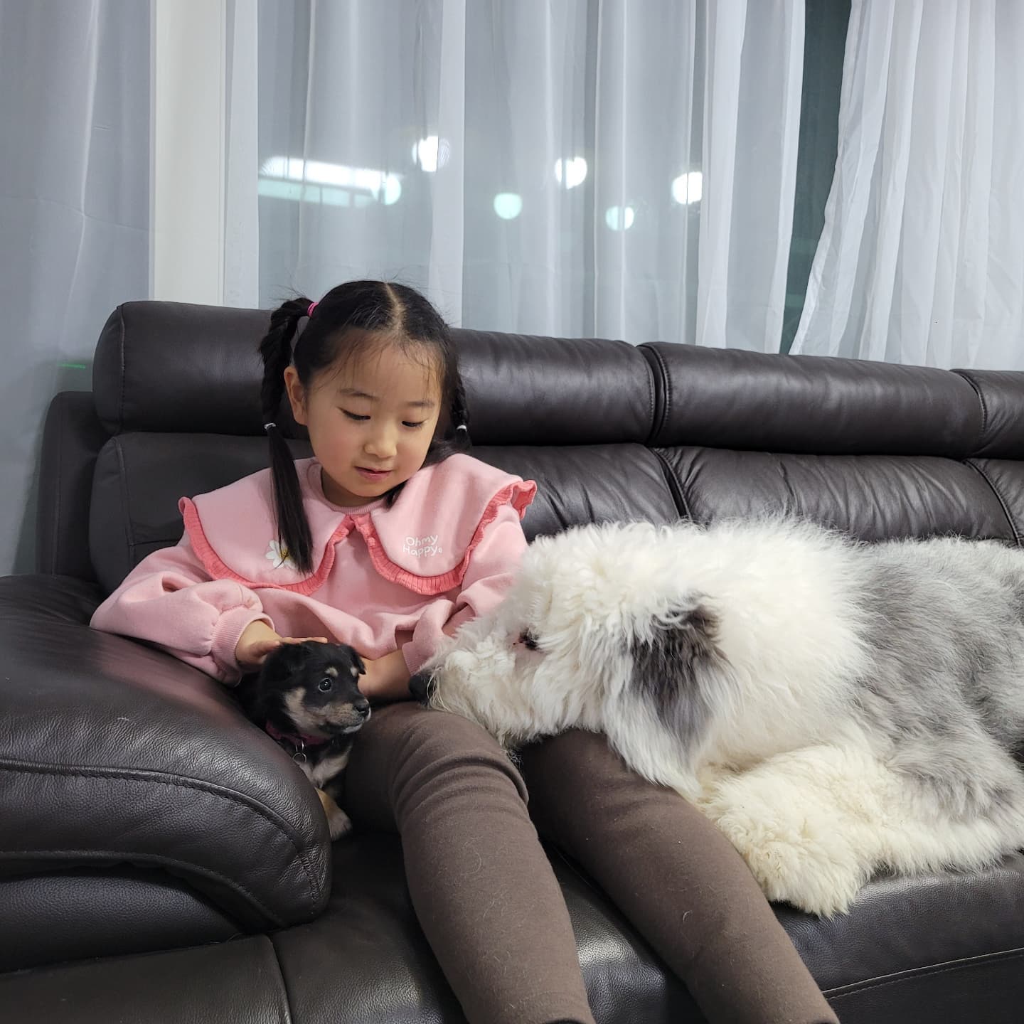 요즘 사진첩에 강아지사진만 한가득 🐶🐶
제가 이렇게 될줄몰랐고요ㅋㅋㅋㅋ
⠀
이쁘긴했지만 키우는건아니다 했는데
키우다보니 강아지만눈에 들어와서 큰일입니다 🤭🤭
⠀
우리딸은 첨에는 무서워하고 질투하고 하더니
지금은 아주 절친모드
아침마다 코랑이데리고 침대로 침범해서 죽을맛😭
⠀
우리코랑이는 작은강아지 첨봐서 좋아죽고
작은강아지는 무섭다가 귀찮아죽음😍
⠀
주말마다 만나다보면 서로 적응하겠쬬?
⠀

#육아가어느정도끝나가니#개육아
