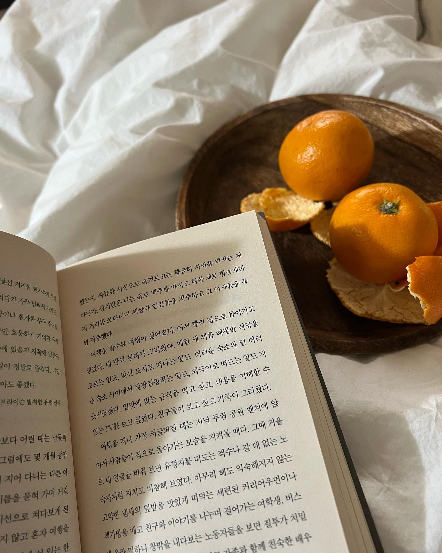 겨울방학 느낌 📖🍊
침대에서 귤 까먹으며 제일 좋아하는 책 읽기
#우리는나선으로걷는다 
#월차