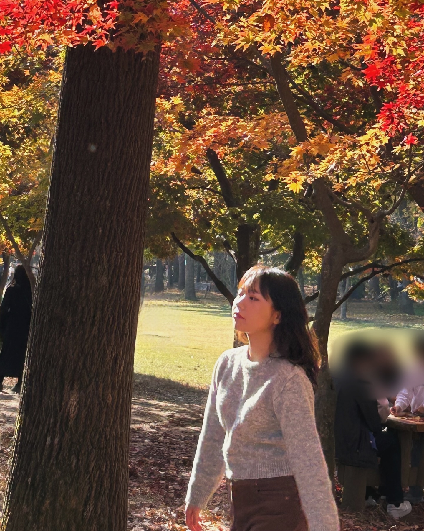 콘텐츠