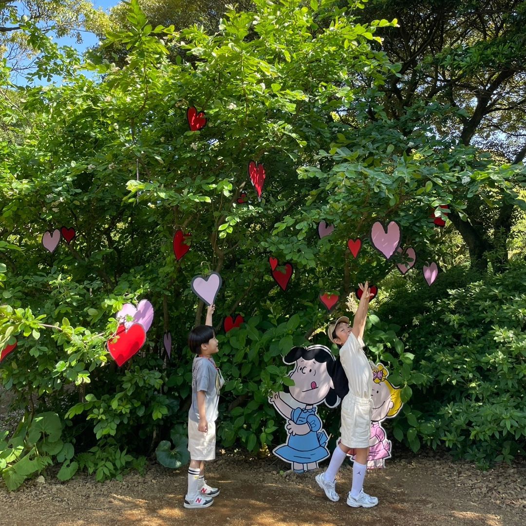 콘텐츠