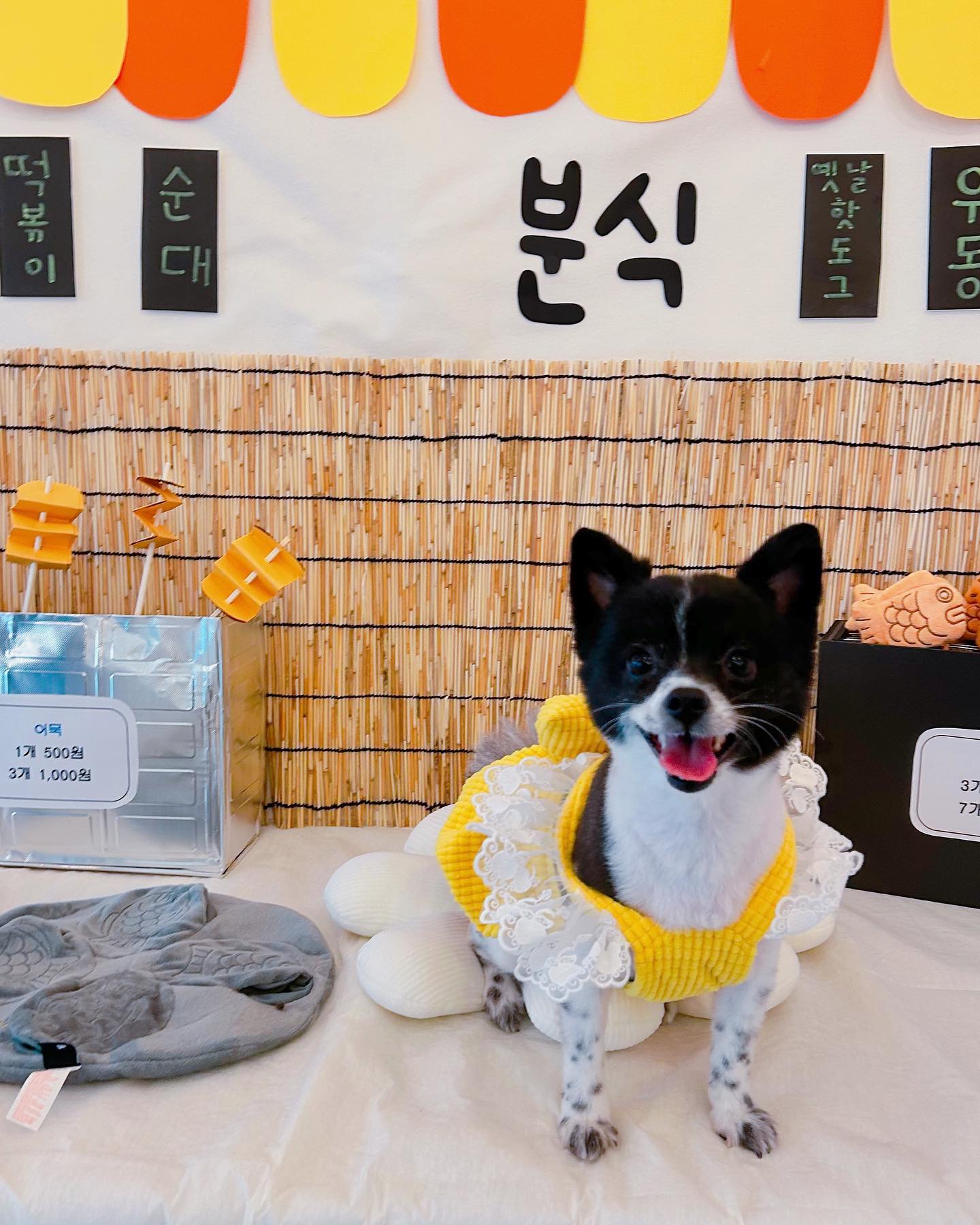 #아띠라미 뛰뛰💜