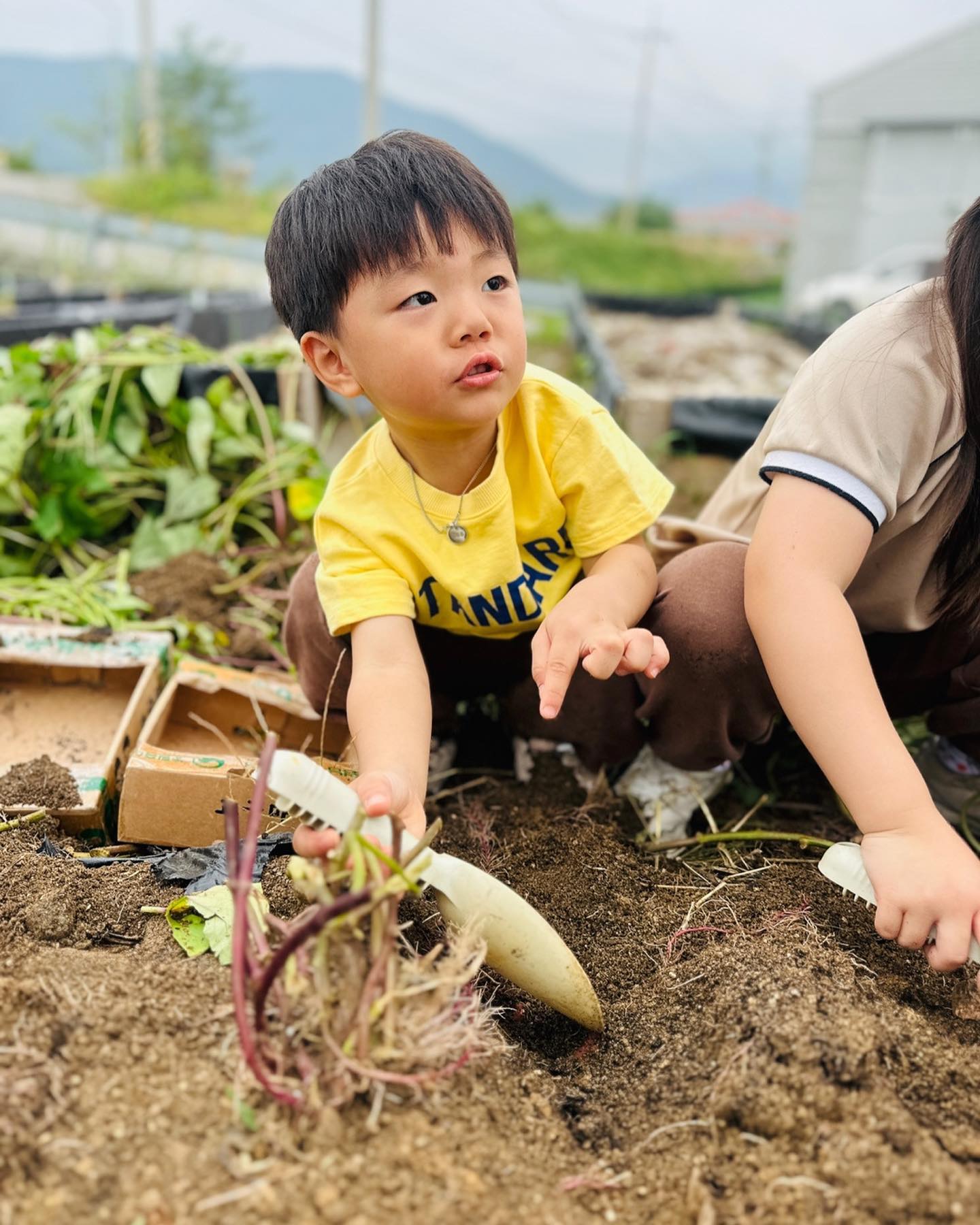 🍠고구마 캐기 & 고구마피자 만들기🍠

오늘 유치원에서 고구마 캐러 간다니까 그게 뭔지 몰라서 어리둥절해했는데 이제 잘 알겠징😙

우주가 만들어 온 피자는 저녁에 같이 먹고 고구마는 내일 내 아침으로😀