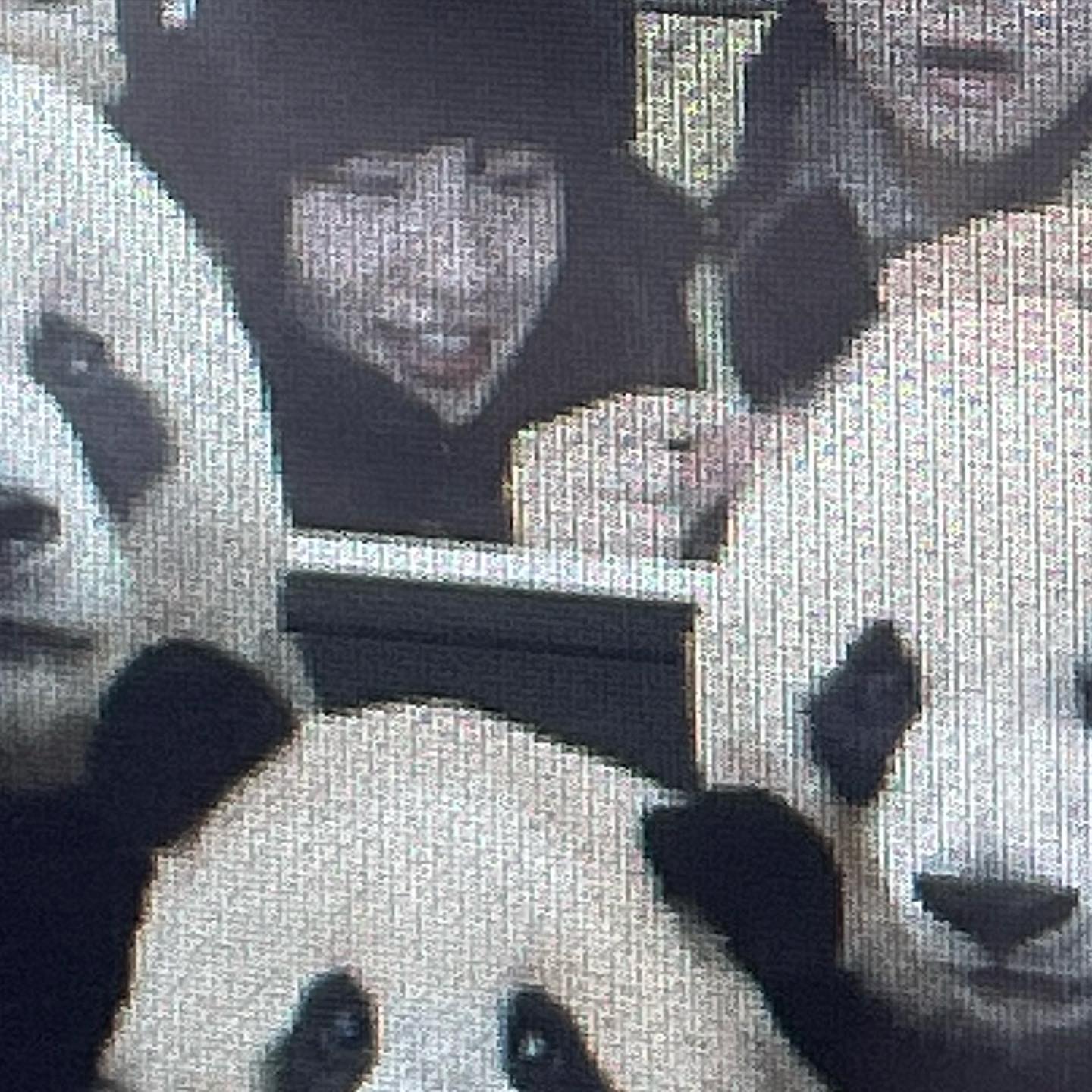 🐼