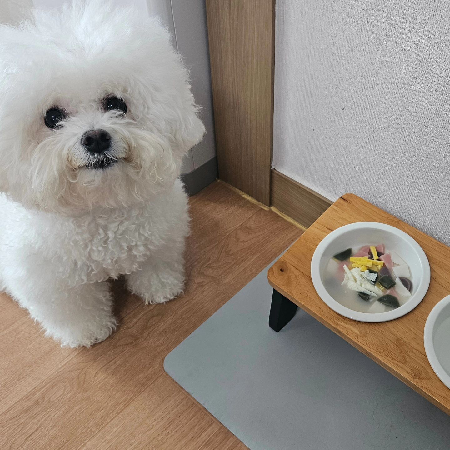 -
매해 끓여먹는 우리가족 새해떡국♡