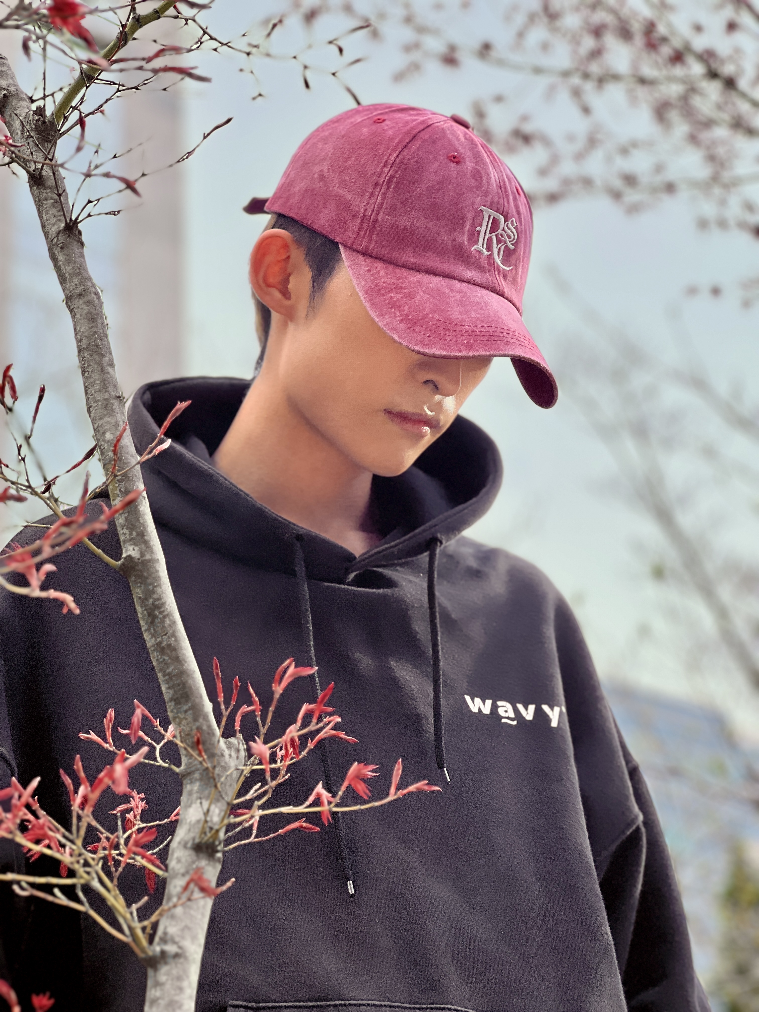 콘텐츠