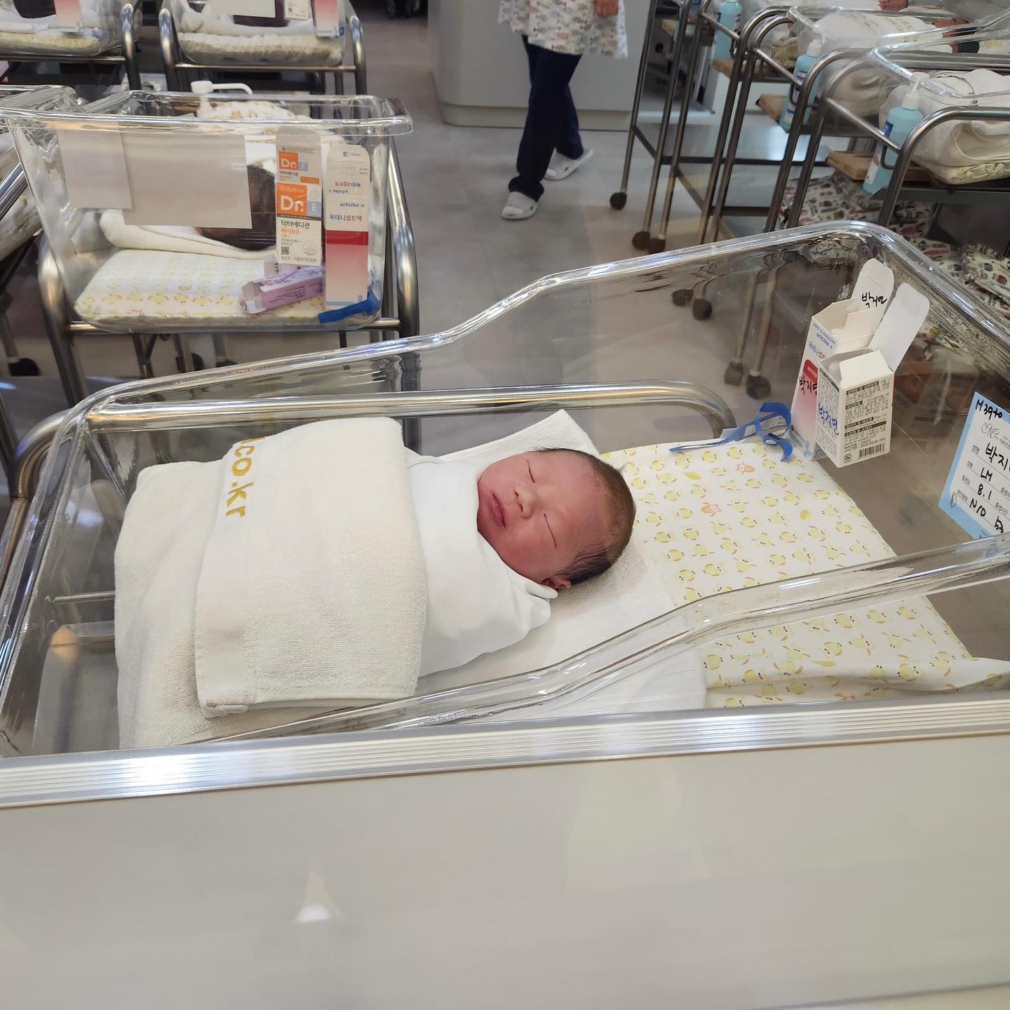 8.1 Am9:22 3.31kg👶🏻

벌써 17일 된 아가 
둘째진통은 아픈건 똑같은데 짧고굵게,,🤪 
3-4cm 열리니 30분도안되서 출산해버렷다ㅎㅎㅎㅎ

이제야 거의 다 회복된듯 싶어서 병원사딘 업뎃하는데 
이젠 열띠미 육아전쟁이다아🔥