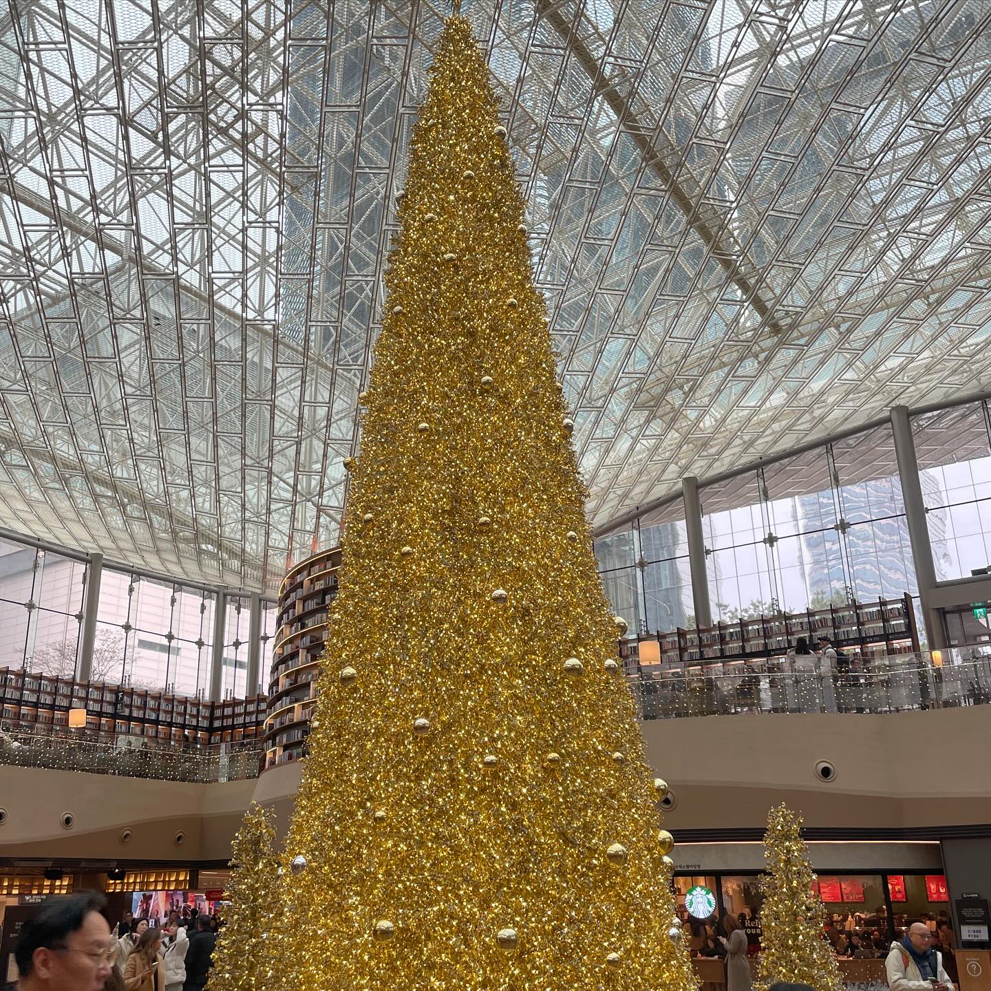 콘텐츠