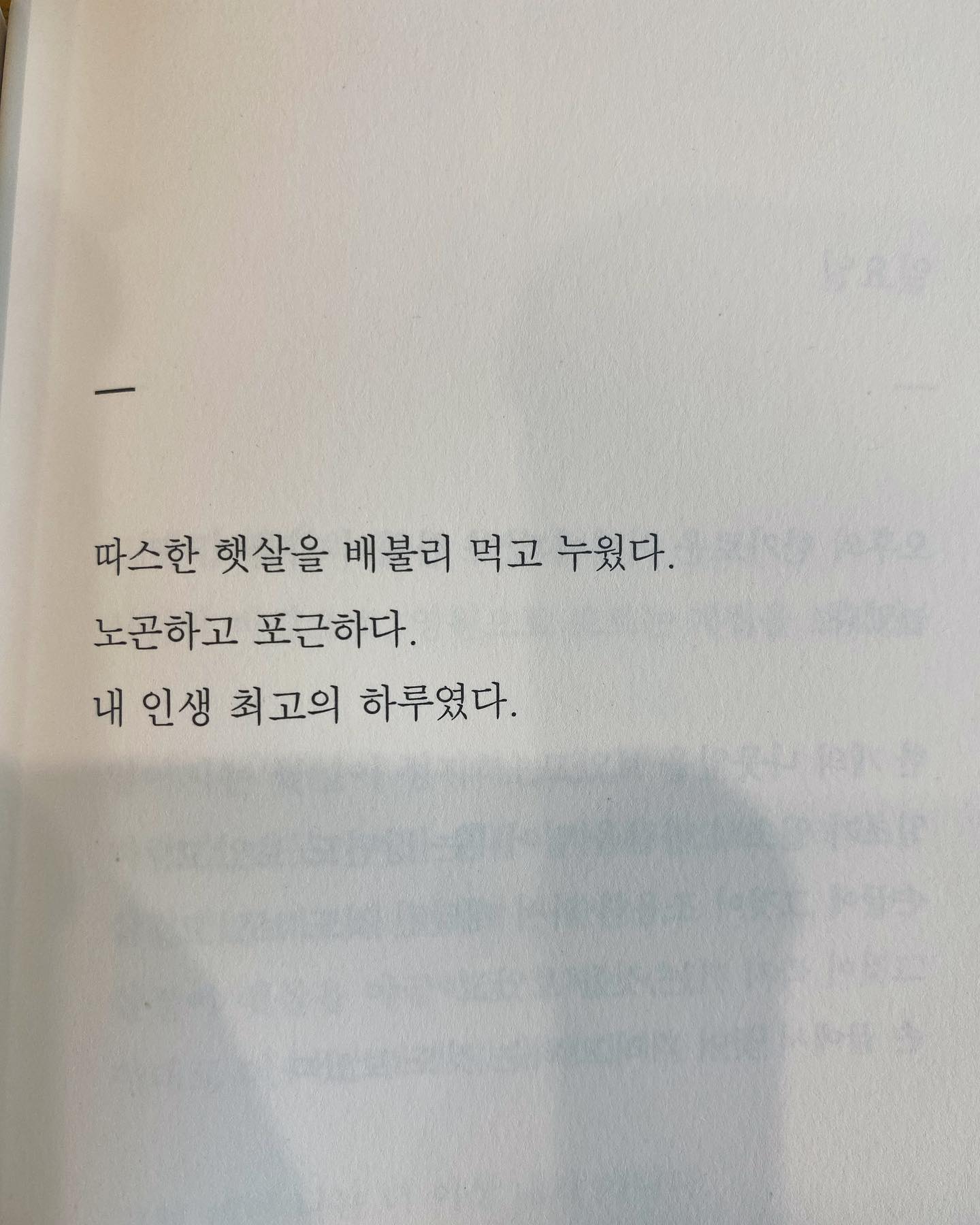 #안리타_사라지는살아지는