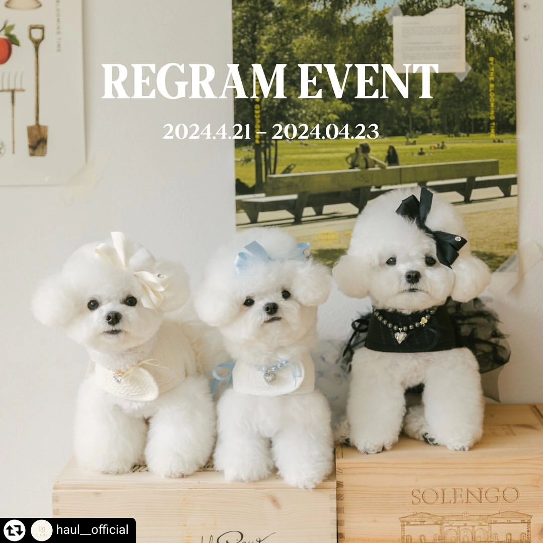 #리그램 - haul__official by get_regrammer
.
<ROSE HARNESS REGRAM EVENT>
사랑스러운 무드가 가득한 로즈 하네스가 이번주에 출시될 예정이에요✨
총 3컬러가 출시될 예정인데, 여러분이 가장 마음에 들어하실 컬러가 많이 궁금해요!
댓글로 여러분의 픽을 알려주세요👍🏻

📢 내부 사정으로 인해 로즈 하네스 출시일이 4월24일(수)에서 4월25일(목)일로 변경되었습니다! 죄송합니다😭🙏🏻

✔️ 참여방법
- 하울(haul__official)계정을 팔로우 해주세요
- 여러분이 선호하시는 컬러를 댓글로 적어주세요(블루화이트, 아이보리, 블랙)
ex> 저는 블랙이 고급스럽고 이쁜 것 같아요!
- 본 게시물 좋아요를 꾸욱 눌러주세요
- 본 게시물 리그램 및 계정태그를 해주세요

※ 위에 안내드린 조건이 충족되지 않을 경우 이벤트 대상에서 제외될 수 있습니다🥹
※ 비공개 계정, 이벤트용 계정은 추첨대상에서 제외됩니다.
※ 댓글로 적으신 컬러는 이벤트 당첨 후에는 변경하실 수 없습니다.
※ 리그램 이벤트 상품은 ‘로즈하네스’와 ‘로즈하네스 리드줄’입니다. 

✔️ 이벤트 기간
4.21(일) - 4.23(화)

✔️ 당첨자 발표
4.24(수) 오후 8시

이번에도 많은 관심과 사랑 부탁드립니다🫶🏻