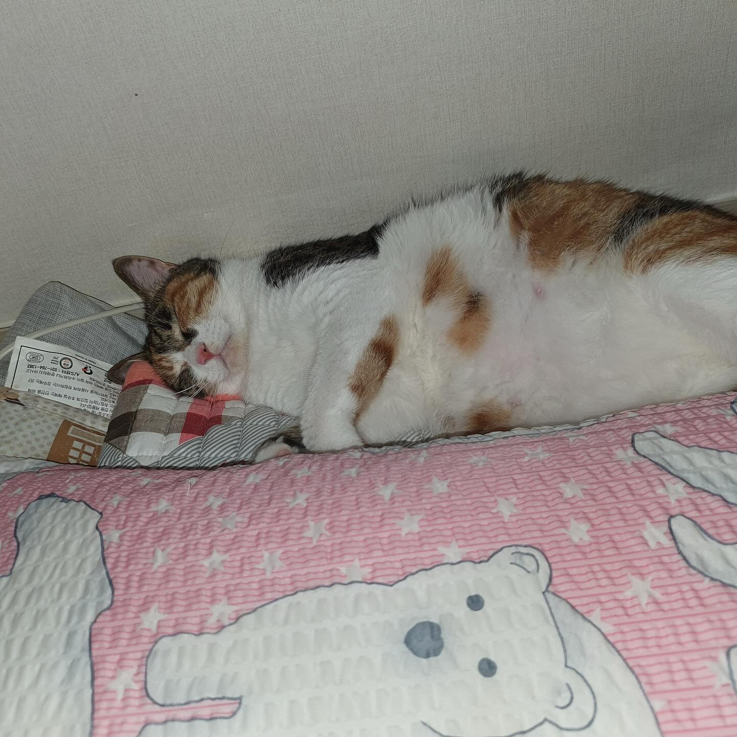 아빠 안잔다