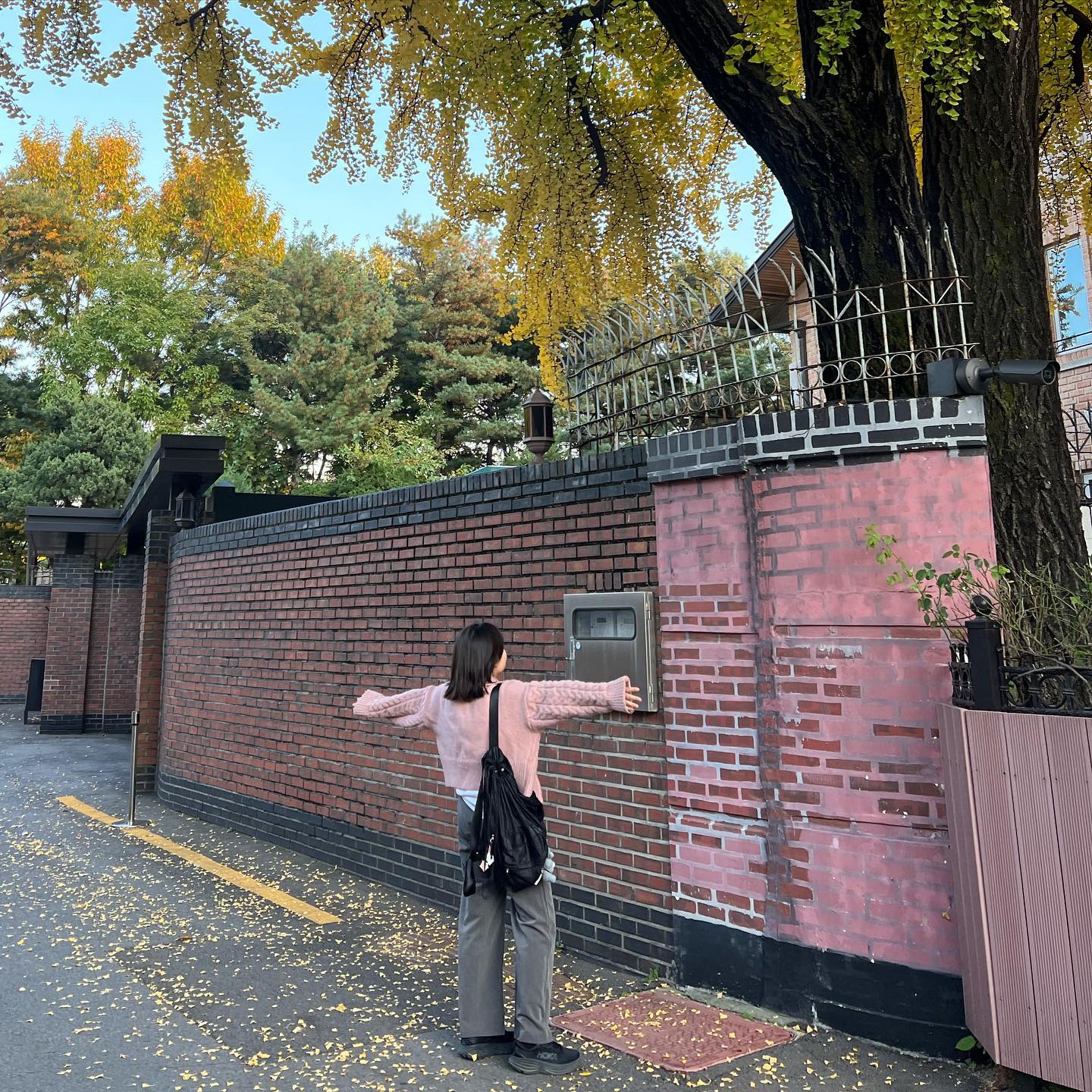 가을이다
🍁