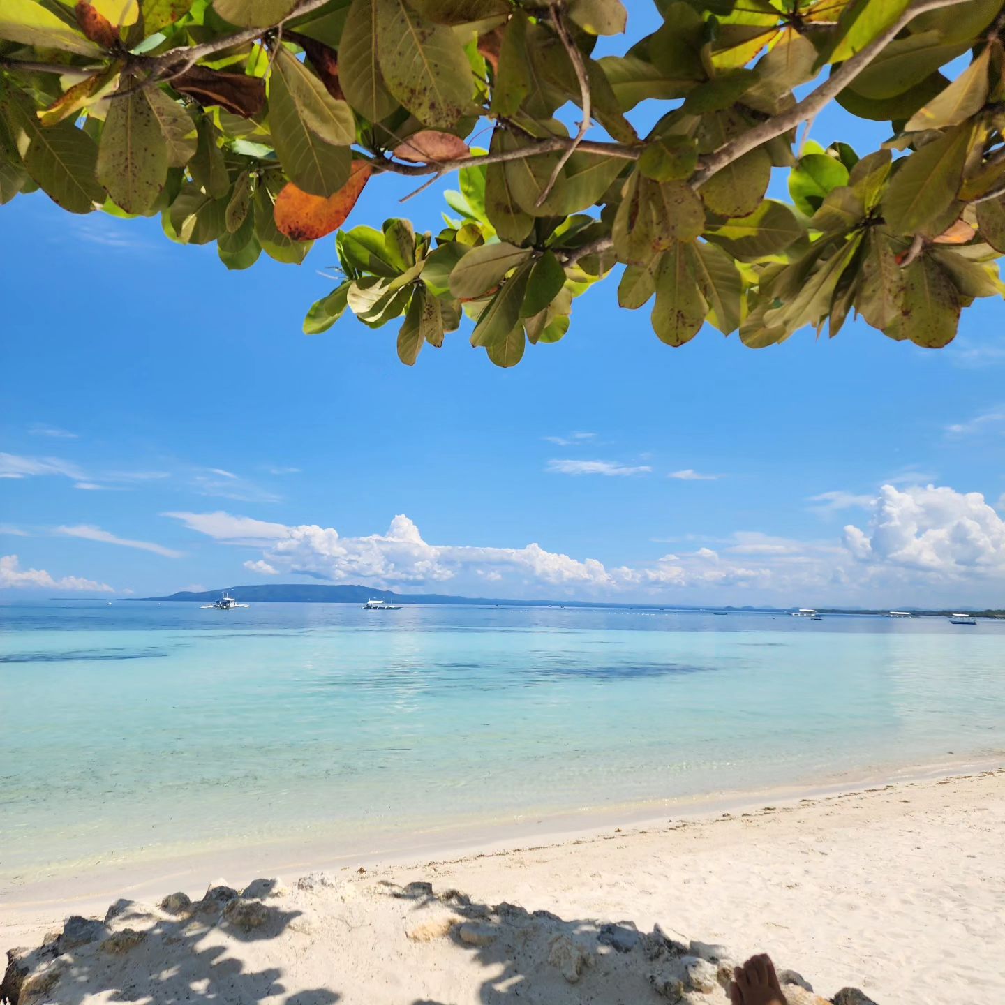 #bohol #modalabeachresort #privatebeach 

Perfect place for vocation!