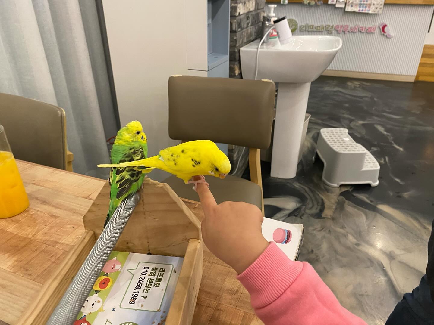 아이가 정말 좋아했던
앵무새카페인 <리프패럿 용인점>🦜
⠀
다양한 앵무새를 직접 보고
손에도 올려보고
먹이도 먹이면서
동물과 더 친숙해질 수 있었던 시간❤️
⠀
#용인실내놀이터#용인어린이#어린이카페#리프패럿용인점#먹스타그램#요리그램#맛스타그램#먹스타그램#맞팔#요리스타그램#쿡스타#가정식#집밥스타그램#먹스타#맛스타