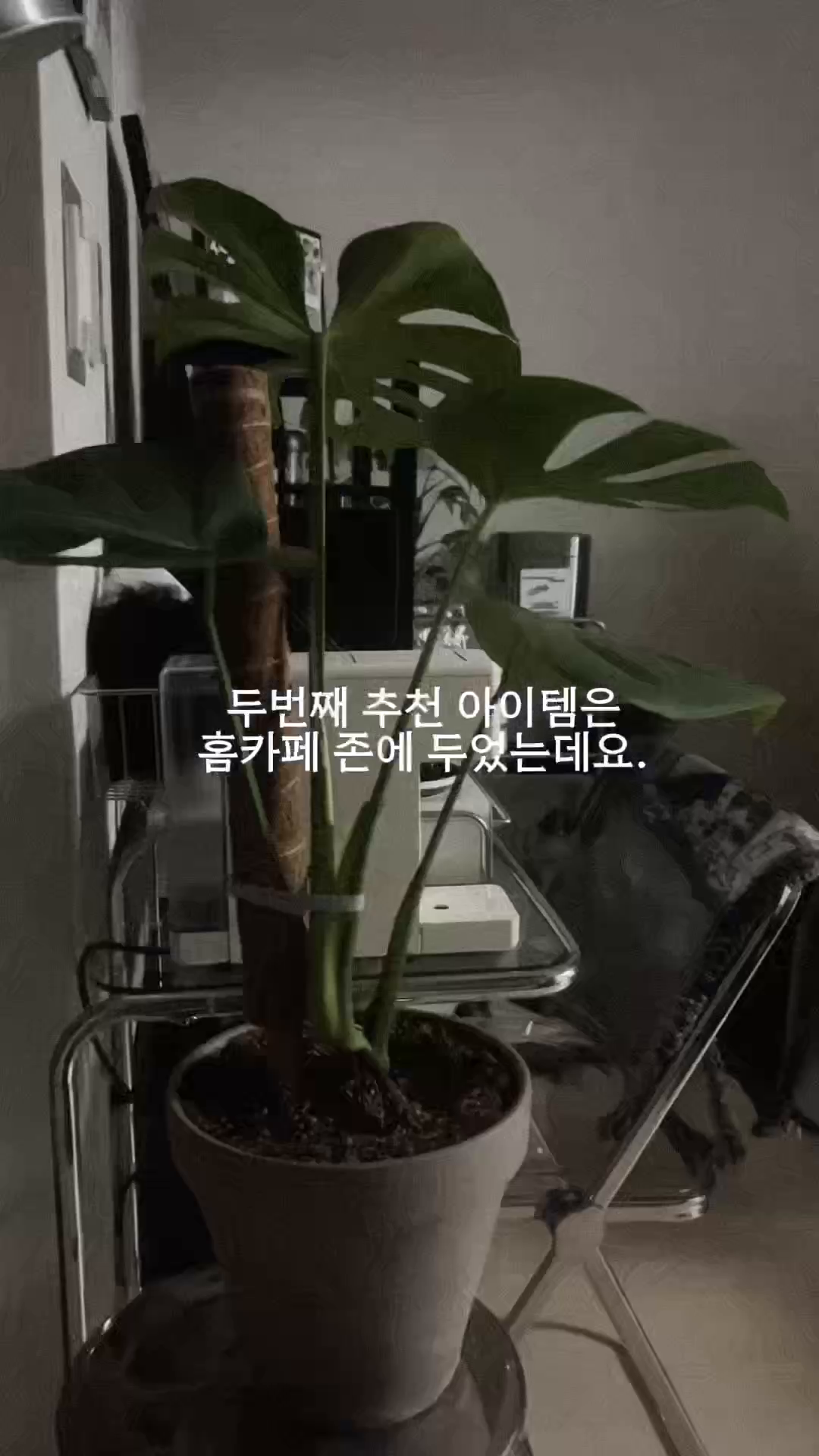 콘텐츠