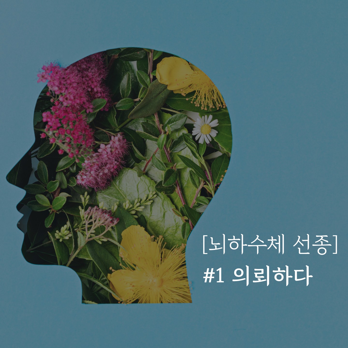 .....

2019년 갑작스럽게 알게된 날부터
현재 진행중인 이야기

.....

새해가 오기 전 건강검진을 받기 위해
2019년의 마지막 날 산부인과를 찾아갔다.

2015년 첫 아이를 출산하고
워낙 모유가 많았던지라
단유 후 모유가 나와도
이상하게 생각하지 않았다.

첫 아이는 자라가고
주변 지인들의 임신소식에
내 마음은 어수선했다.

출산 전 규칙했던 월경은
불규칙하게 찾아오다
정말 아주 가끔 날 찾아왔다.

몇 년이 반복되자
가끔 찾아오는 월경을 귀찮아 하며
대수롭지 않게 생각했던 나는
이 날은 왜인지 의사선생님께 물어보게 되었다.

​
💜 "제 월경주기가 꽤 길어요"
👨‍⚕️ "주기가 어느 정도 되시는데요?"

💜 "마지막에 한게 8개월 전이에요."
👨‍⚕️ "네? 집은 근처세요? 꼭 피검사 하고 가세요. 얼마 안합니다."

피검사라는 말에 마음 조리는 걸 알아차리듯
부드럽게 권유하셨고 그렇게 새해가 밝았다.

..........................

​trailer)
피검사 결과를 들으러 갔다.
👨‍⚕️ "검사해보길 잘했어요."

#산부인과 #뇌하수체 #건강검진 #피검사
#프로락틴 #무월경 #고프로락틴혈증
#뇌하수체선종 #선종