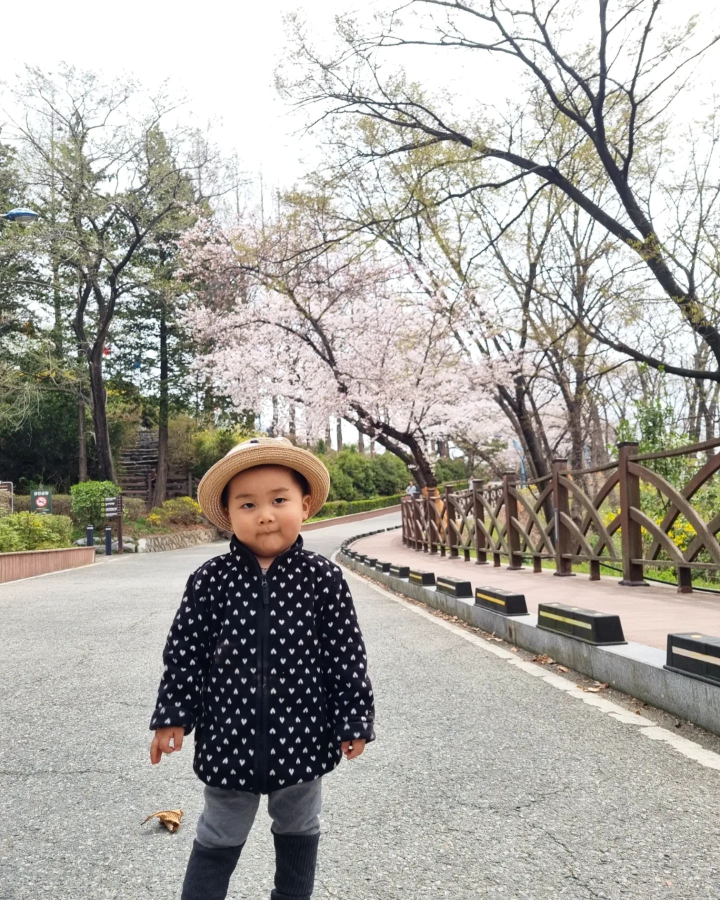 [셋째와 데이트]
희망이가 도영이형이랑 놀라고
주말을 허락해줬나보다.
두 형아들은 서울대공원가서
엄마랑 급 수봉공원에 벚꽃구경하며
놀이터에서 1시간 재미있게 놀다 왔네!

짧은 미끄럼틀만 타다
조금씩 도전하며 긴 미끄럼틀까지
타며 봄바람을 누려봤는데
단 둘이서 보낸 짧은 시간이었지만
이리 보낸건 정말 오랜만이다!^^

이왕 진통 안 오는거 
내일 예배까지 다 드리고
그리고 만나자!!^^

도영이형아는 집에 오자마자
딥슬립하고 있옹~~
엄마도 쉬어야겠다 ㅎㅎ

#셋째아들
#아들과데이트 #봄나들이
#봄데이트 #벚꽃데이트
#수봉공원 #수봉공원놀이터 
#막달임산부 #임신막달 
#디데이4일 #임신39주
#임신10개월
#아직도진통이없어 
#내일예배까지