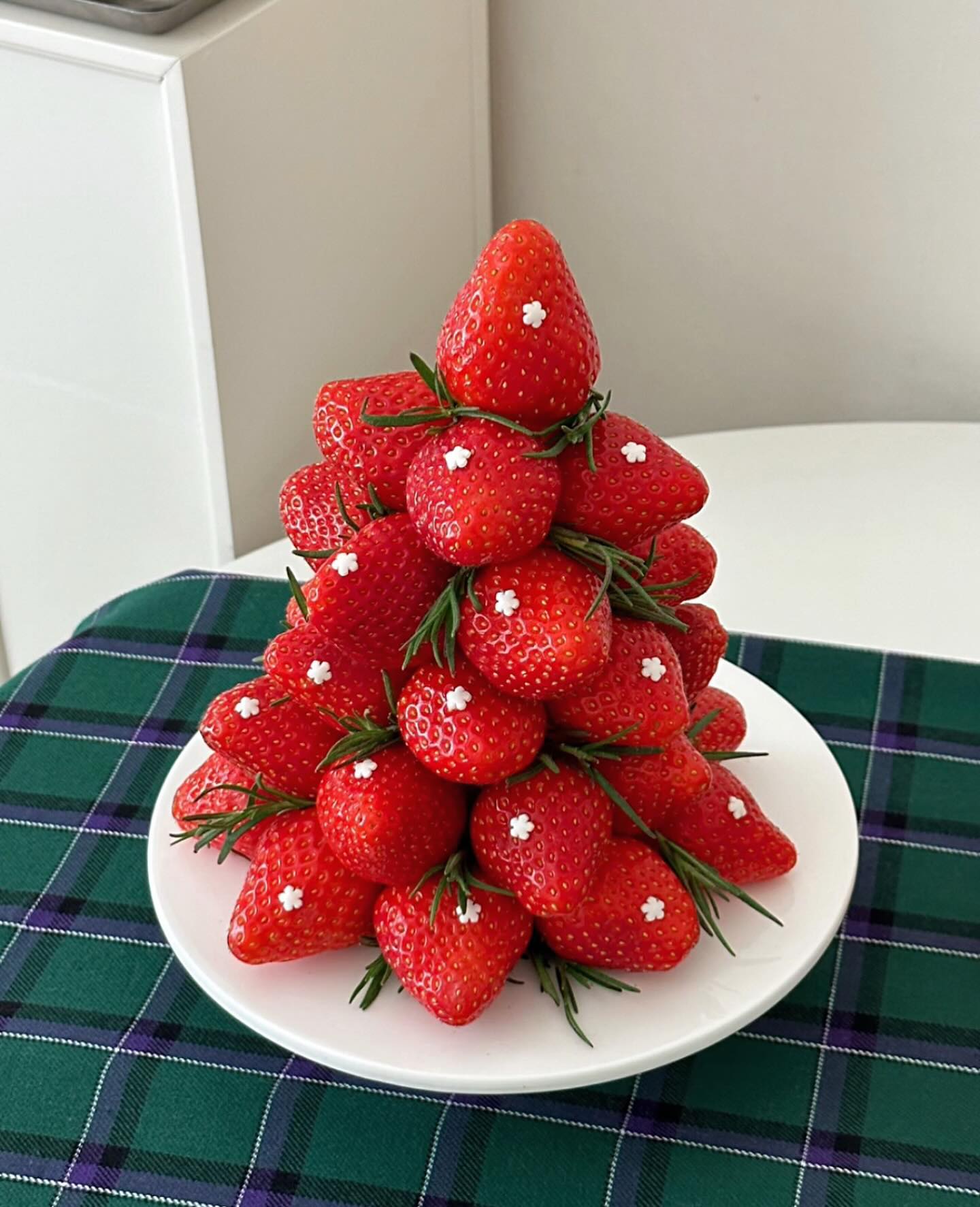 모두 미리 메리크리스마스🌲 (사진은 작년 사진 재탕 좀 할게요.. 키키) 저 내년엔 트리 꼭 사려고요 10월부터 트리 사고싶은거 참느라 진짜 힘들었다고요! 잘 이겨냈어.. 빨리 크리스마스가 지나갔음 좋겠어요.. 저는 아침부터 커피내려 마시고 뒹굴모드중인데 세상행복 모두 즐거운 성탄절 보내세요🛷♡