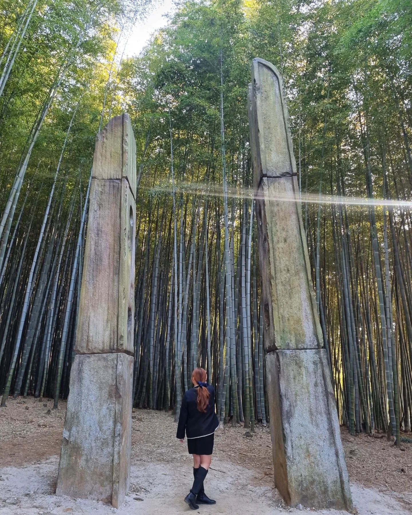 🎋🍃