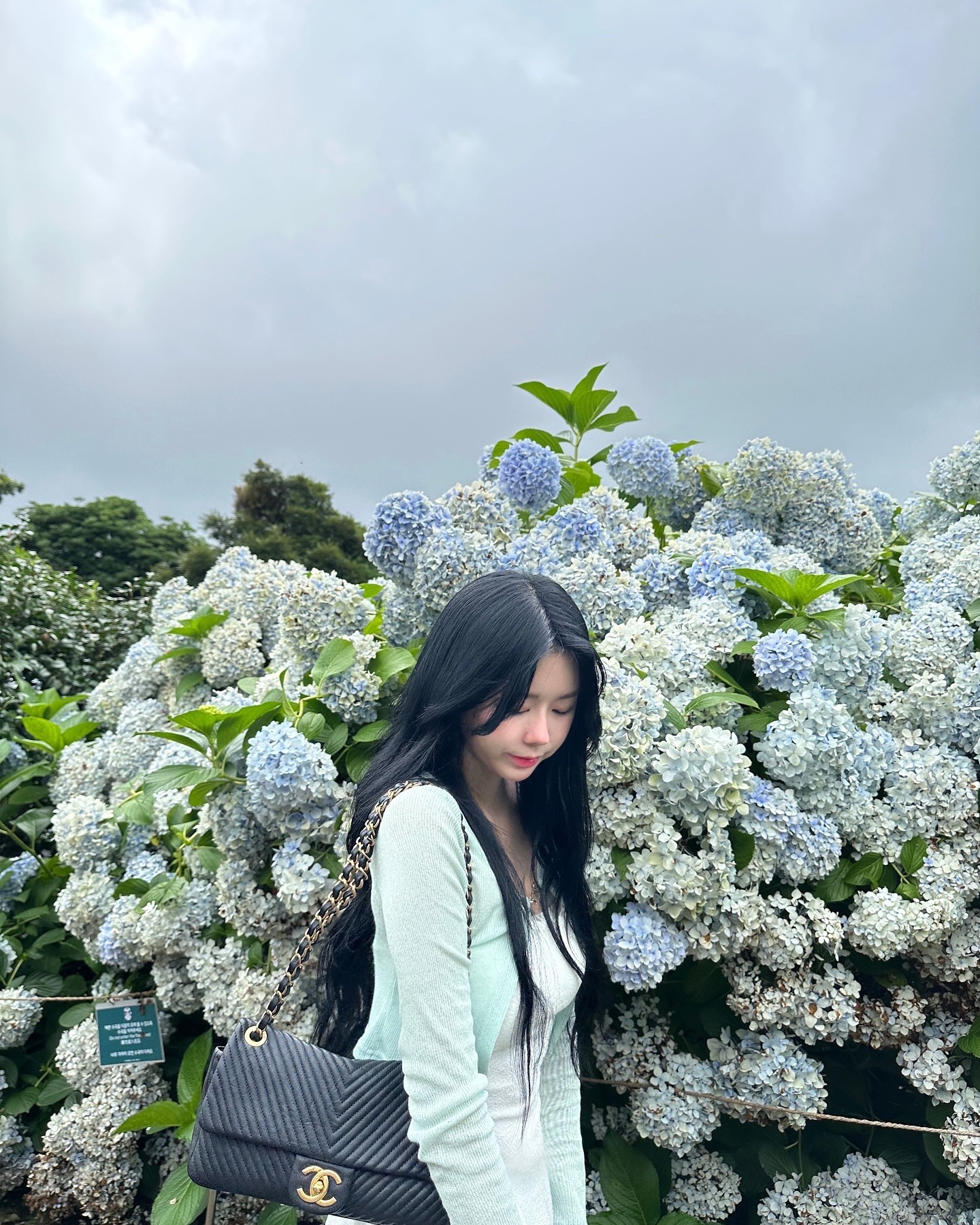 누가 꽃이게~?
.
.
.
#jeju #jejuisland #제주 #제주도 #꽃 #누가꽃이게 #제주카멜리아힐 #카멜리아힐 #follow #followforfollowback #fyp #f #fypシ #fashion #likesforlike #lifestyle #like #liker #likers #likeit #liketkit #likeme #liked #likephoto #팔로우 #팔로 #팔로우미 #팔로우반사 #팔로우백 #좋아요
