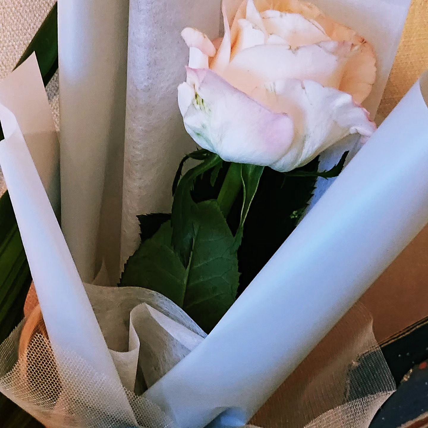 내 생일 ^^
딸이 준비해준 생일 🎁 

오늘 아침 눈물 핑~~~😭

꽃이 엄마 닮았어 라며 카드에 써준 울 딸❤️

갱년기라 다 짜증나고,
힘들고, 
사랑받고 싶고, 챙김 받고 싶었는데...

딸이 다 해 줌 ^^

남는 나의 인생은 
오롯하게 나를 위해 살리라!!!

새로 시작하는 학원도 잘 해나가길!!!
해열달 화이팅이야👍👍👍