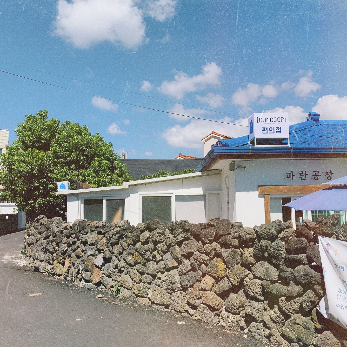 그 해 여름