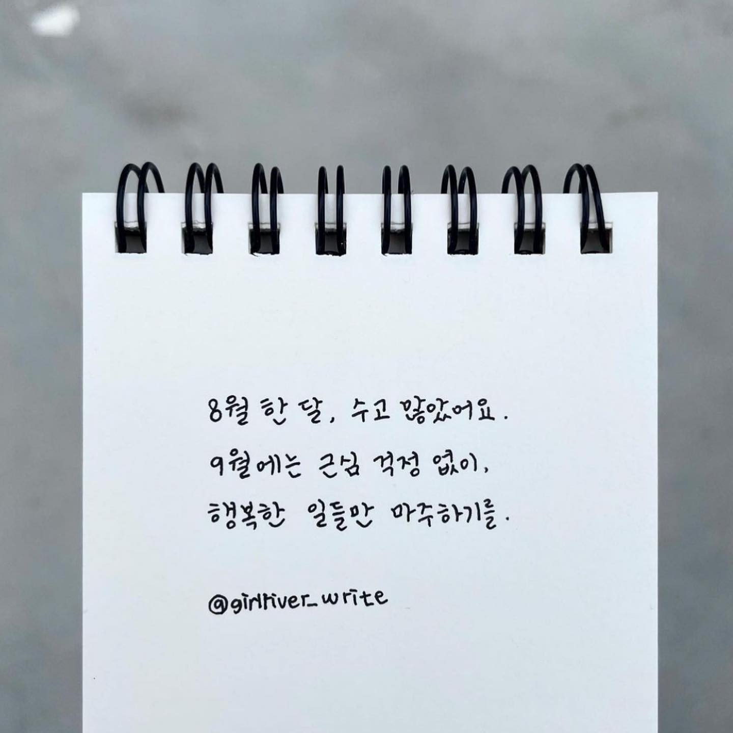 오랜만에 끌올하는 9월 행복한 하루하루 보내세요 - 🍀