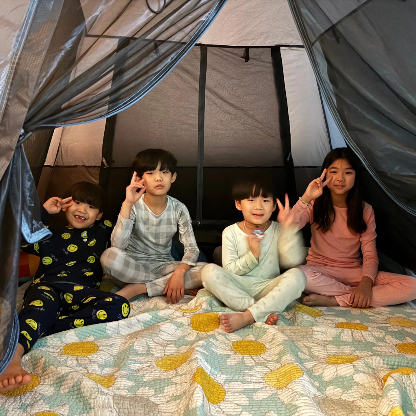 해피