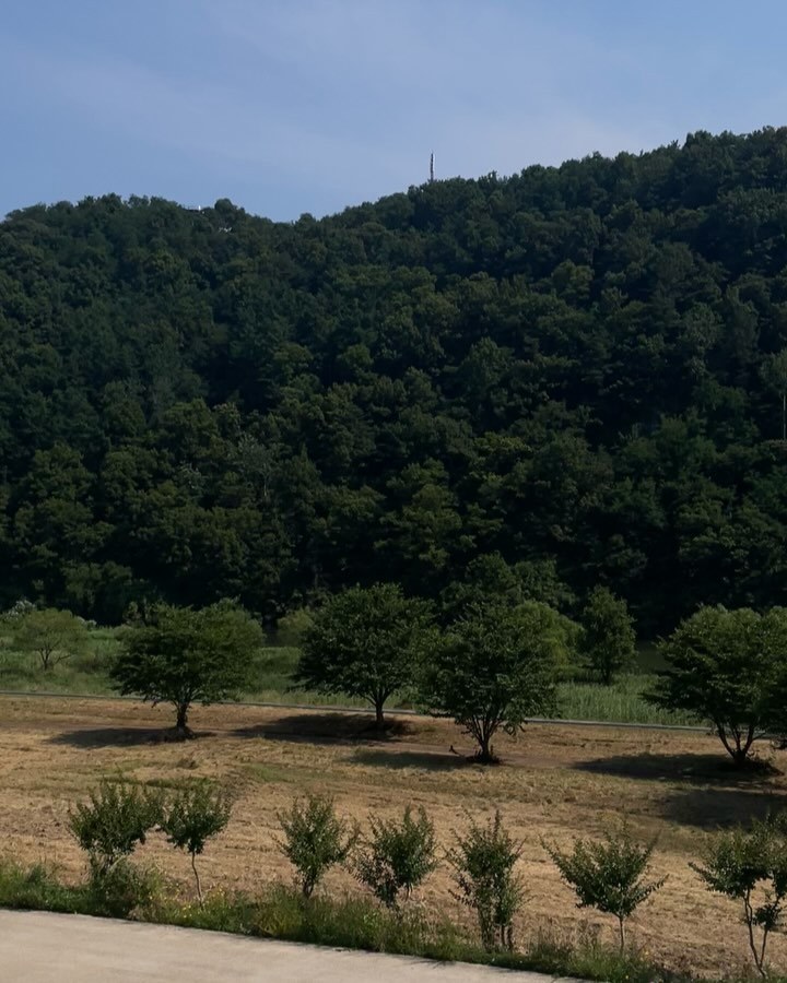 다시 캠핑 쥰비 완료옷🏕️⛺️