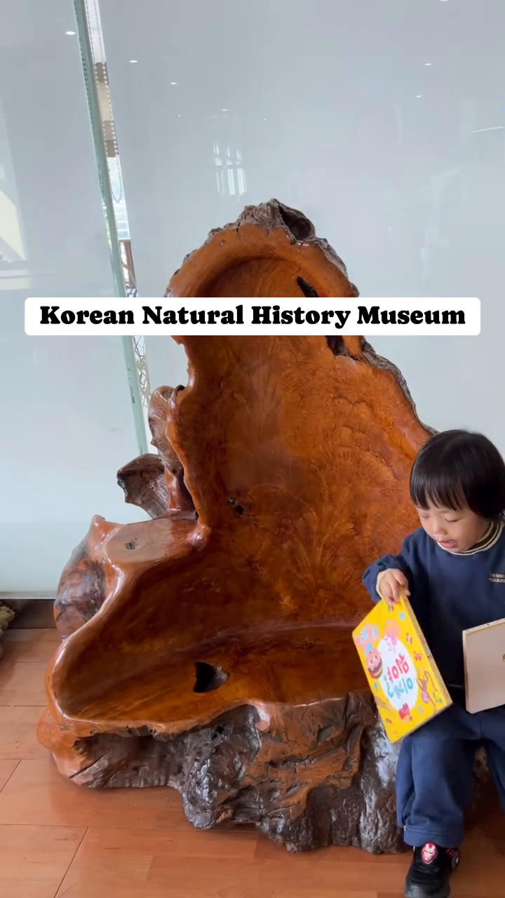 늦게라도 올려보는 #한국자연사박물관 
집근처 15분 거리에 자연사박물관이 있다?
공룡러버 송죠가 가보았습니다!
멋진 계룡산국립공원 자락에 위치한 박물관은
최대 규모와 최다의 소장품을 자랑하는 교육과 체험의 장소더라구요!

1층 공룡의 세계, 2층 생명의 땅 지구, 3층 자연과 인간
층별로 공룡, 보석, 동물, 바다, 식물, 곤충의 세계관, 자연과 인간관, 미라전시관 등 다양한 볼거리가 가득해요!

✔️전세계에서 3개밖에 없는 세계최대 초식공룡 화석인 청운공룡(브라키오사우르스)을 직접 볼 수 있어요🫢

✔️좀 무섭긴 하지만 학봉장군미라 실물을 볼 수 있어요🥶

지수가 크면 또 가야하니까 매년 가볼 곳으로 픽!했답니댜

📍한국(계룡산)자연사박물관(충남 공주시 반포면 임금봉길 49-25)
10월~06월 10:00~18:00/07월~09월 10:00~19:00(매주 월 휴관)
11:00~16:00(공휴일 및 주말 시간별 전시 해설)
어른 9,000/초중고 6,000/유아4,000(24개월 미만 무료)
