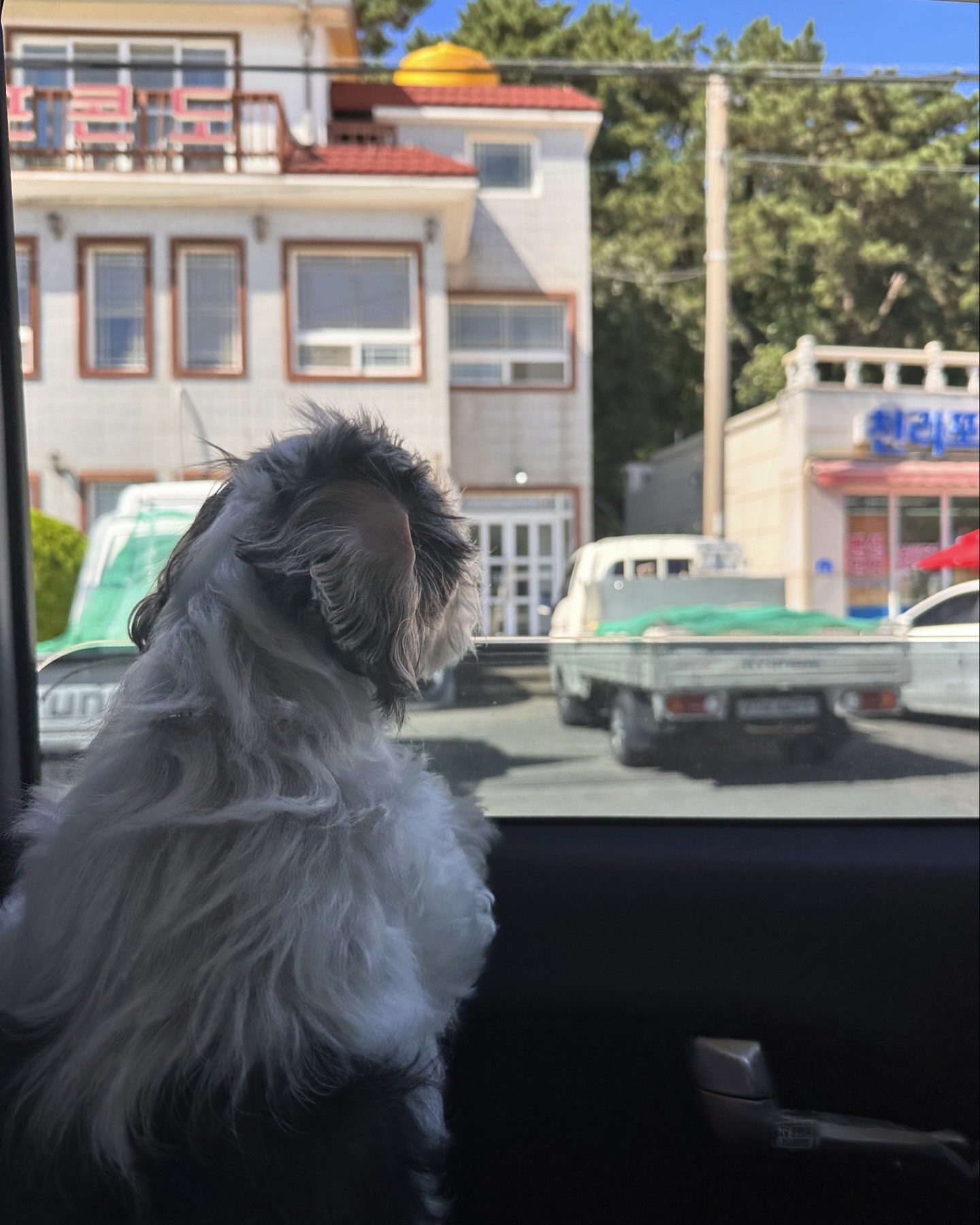 콩순이 바보