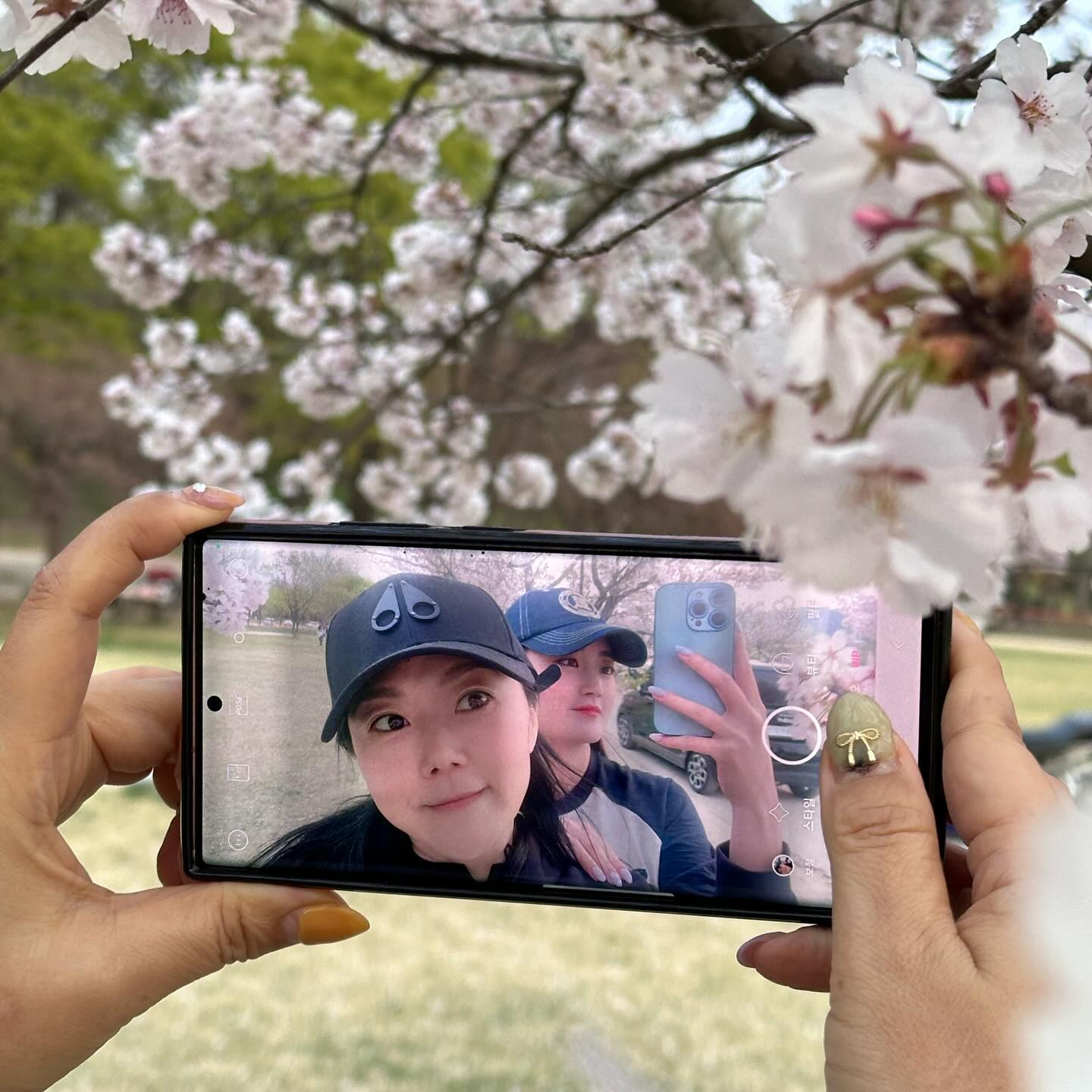 2024 모녀벛꽃사냥성공🌸🎀 선거 감사감사🩷