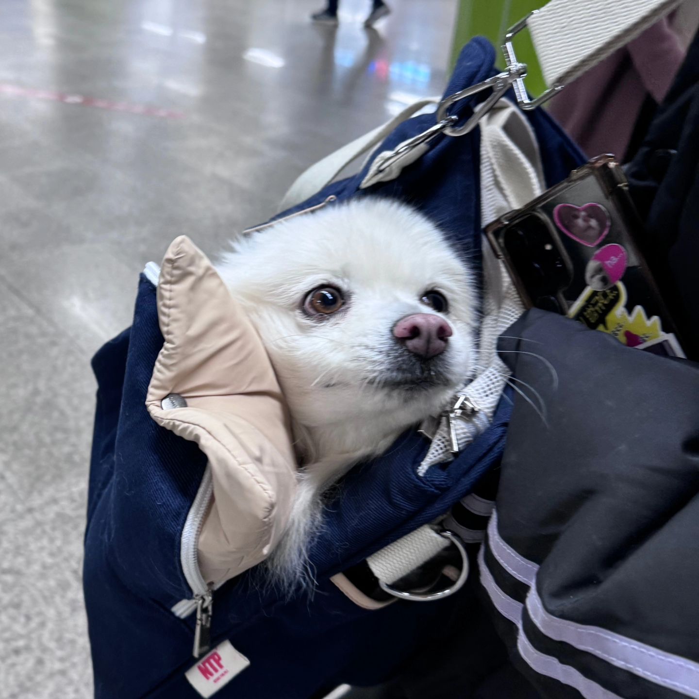 언니 나 가볍지?