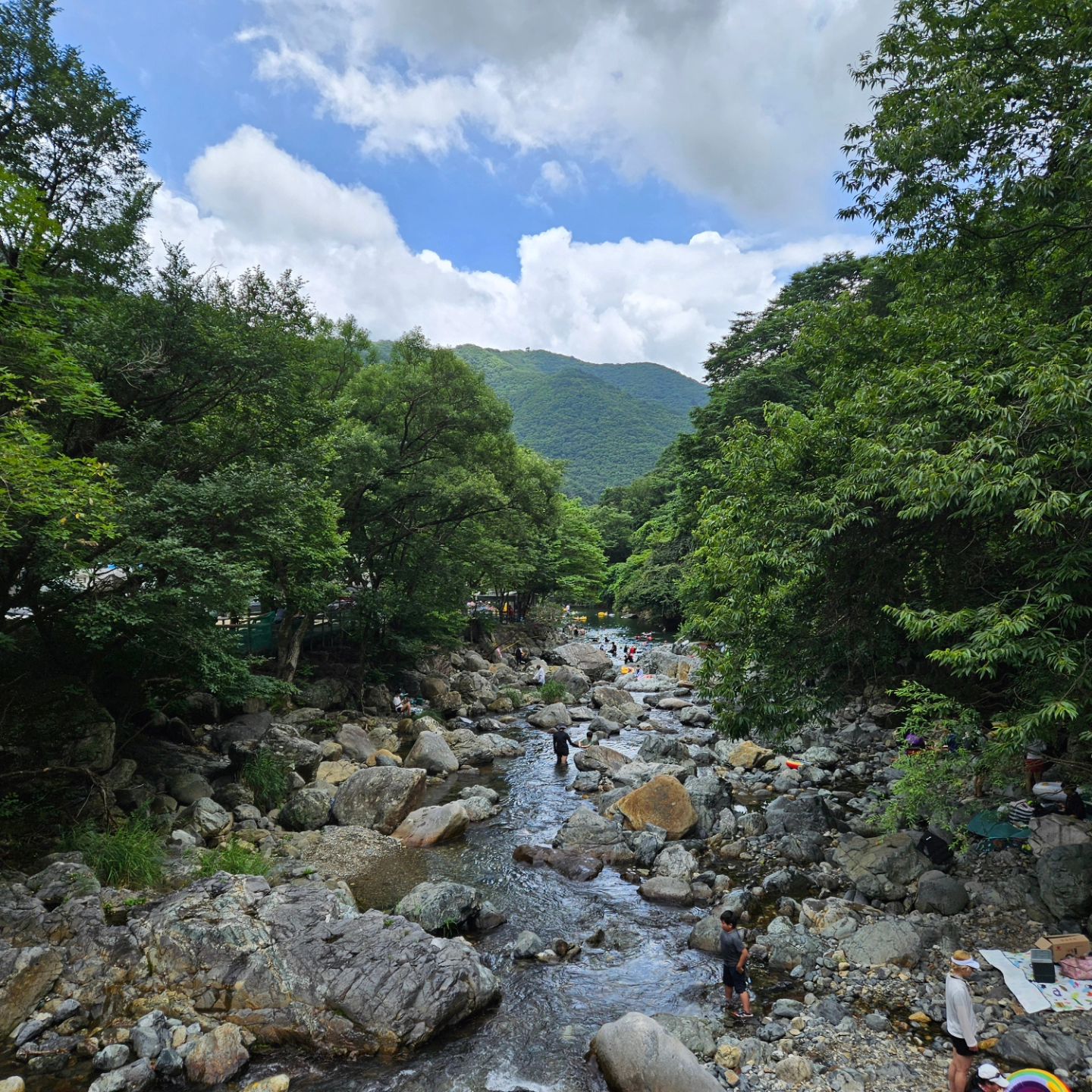 우린 오늘 철구소
물도 많고 사람도 많고
여전히 다이빙을 하려는 사람들과
다이빙 못하게 하는 안전요원들
(얼마전에도 다이빙해서 팔빠져
응급실 갔다는 사람이 있었다고 함)
스노쿨 장비 다 챙겨갔지만 사람이 많고
이리 치이고 저리 치여서 시도도 못함 
어린이들이 줄거웠다면 그걸로 된겨...

#울산계곡 #철구소계곡 #철구소펜션