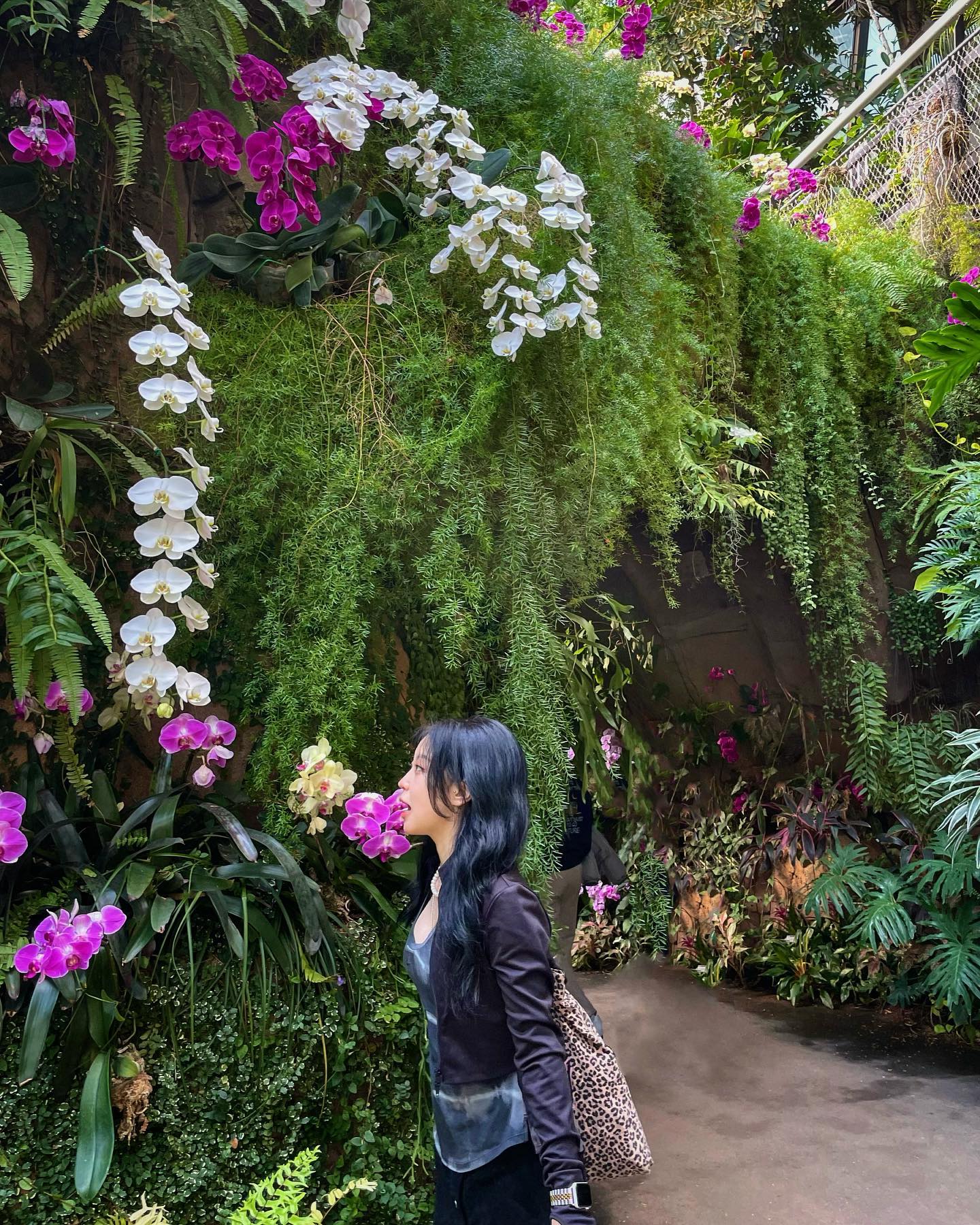 서울특별시 하와이구🌴🌵