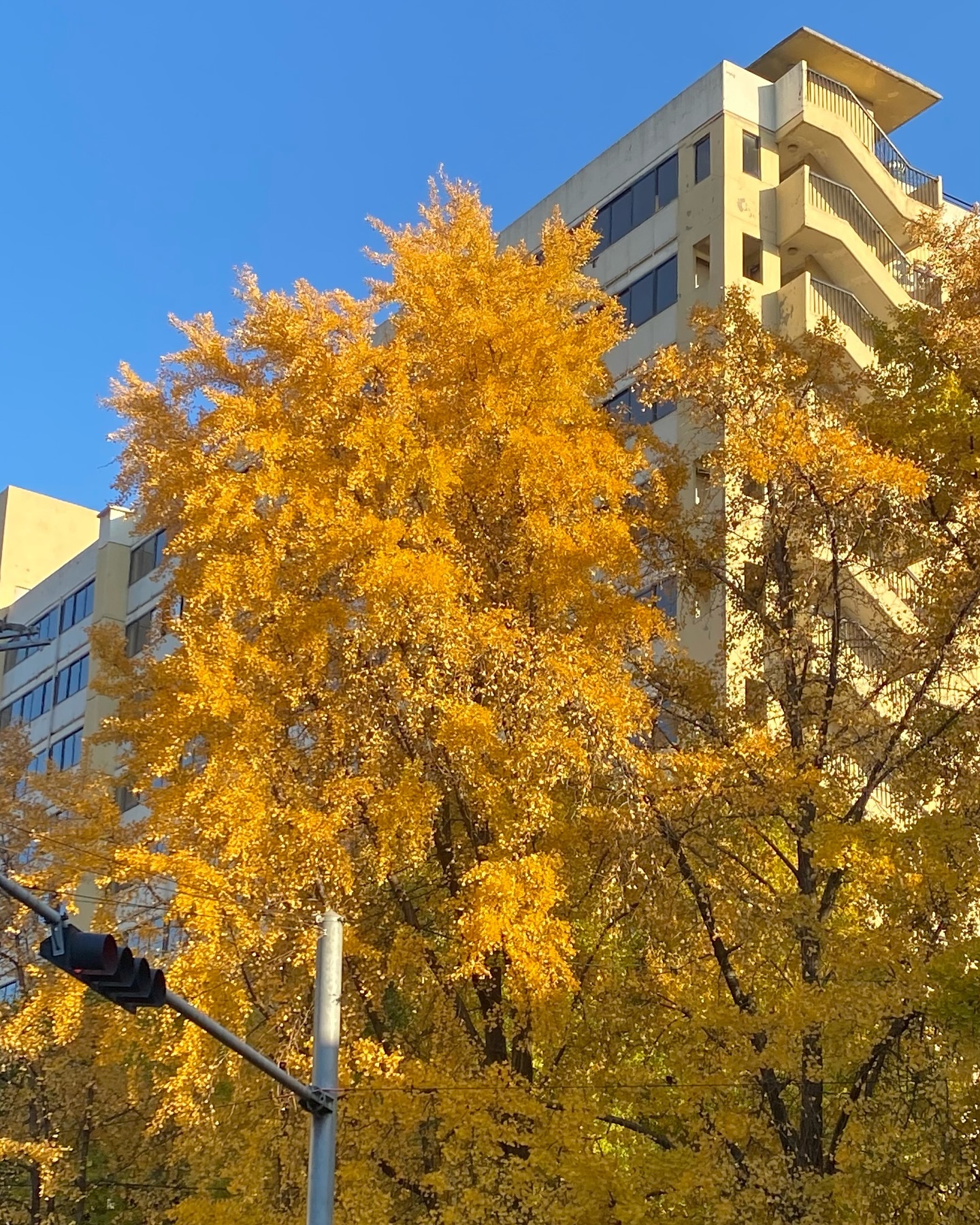 눈 깜빡하니 12월 . . 👀🍂🍁