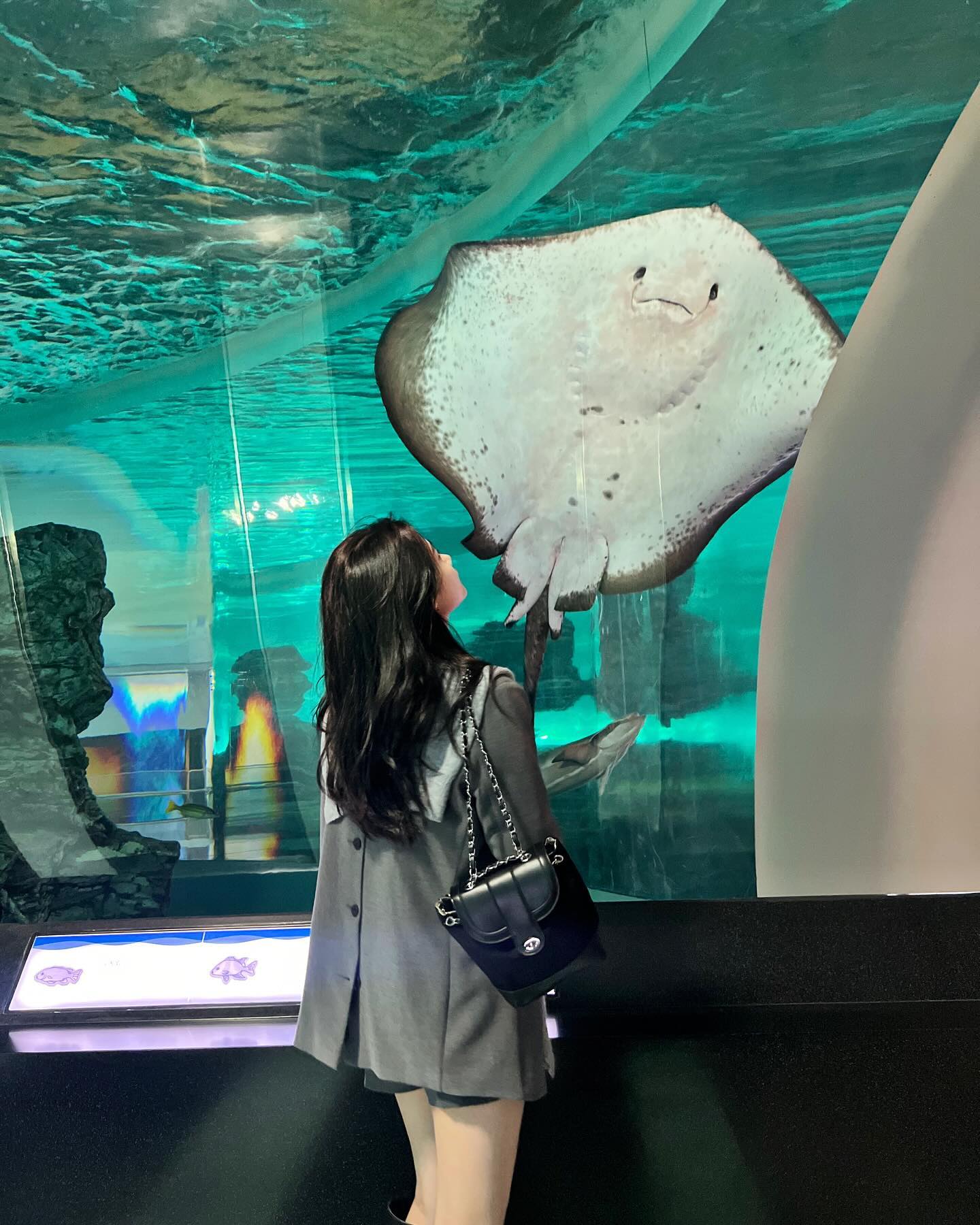 🦈🩶

#국립해양박물관