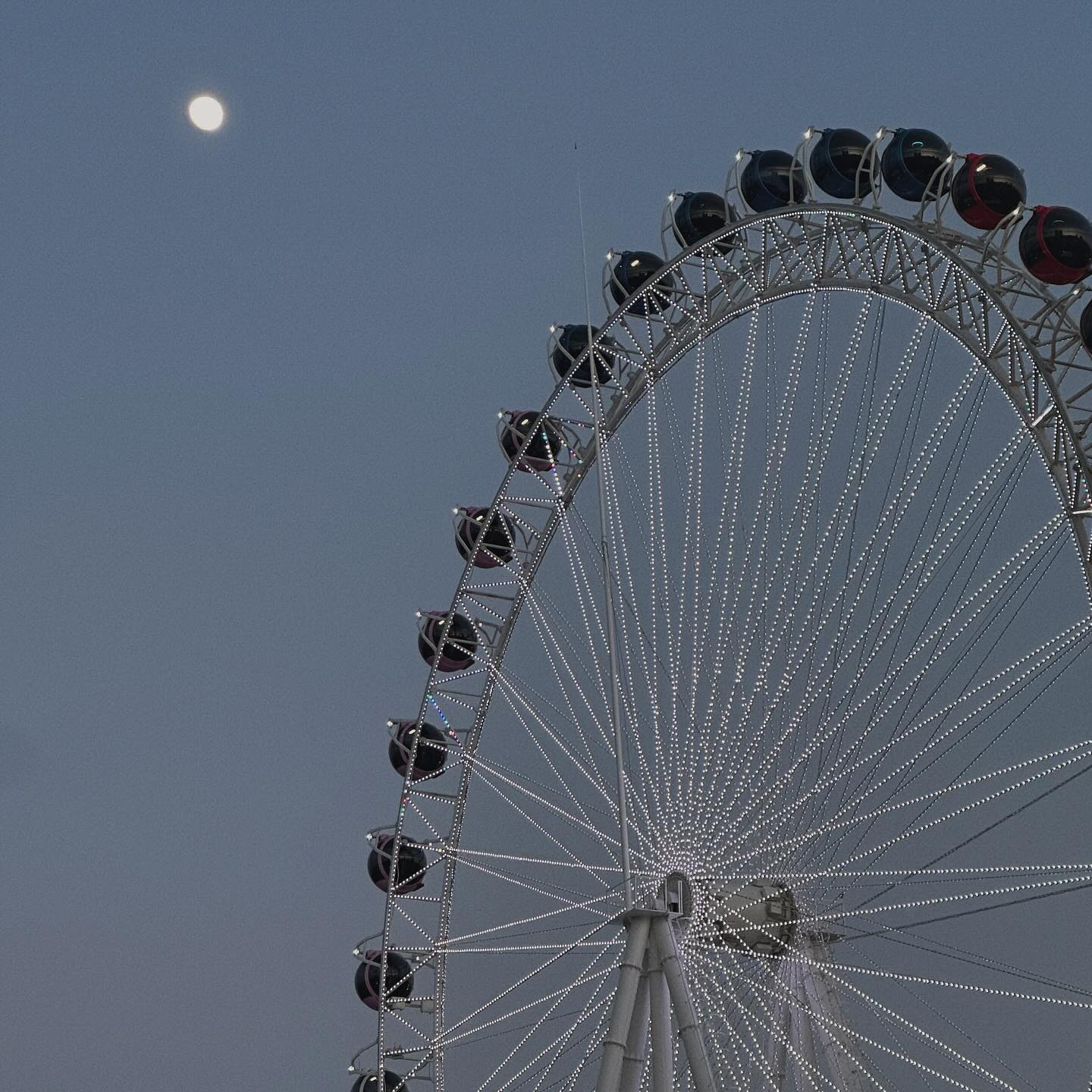🎡