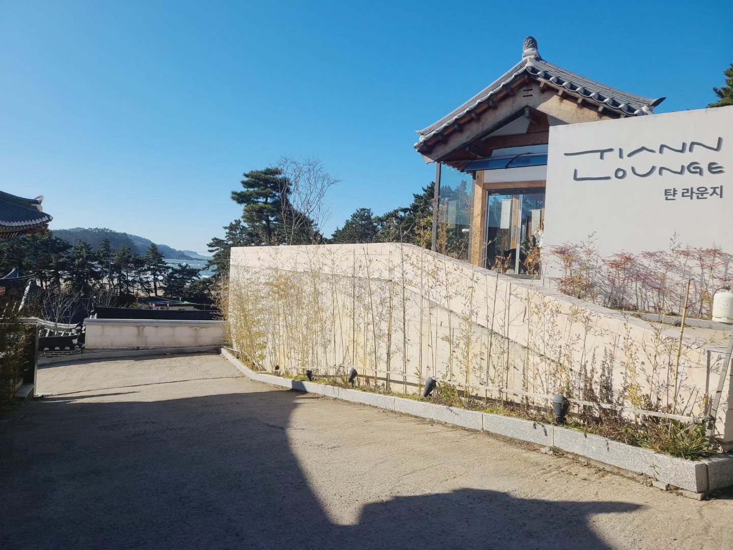 #협찬

작년 연말, 생각보다 바빴던 일정들을 마무리 하고 오랜만에 바닷바람 쐬러 여행 다녀왔어요.
그리 멀지 않은 곳으로, 여유있는 곳으로 다녀오고 싶어서 다녀온 '태안 한옥비치리조트 탼'

태안 한옥비치리조트 탼은 전주의 시화연풍을 시작으로 태안에 새로 오픈한 한옥리조트랍니다.

태안이 슬로시티인거 아시나요? 
탼은 슬로시티에 맞게 티비도 없지만 라운지 느긋에서 보드게임이나 싱잉볼, 요가매트 등을 대여해서 태안의 자연과 고즈넉한 한옥을 즐길 수 있답니다.

누구나 아는 펜션들을 지나치다가 한옥비치리조트를 보니 다른 공간에 들어 간 것 같더라고요. 
22개의 객실이 준비되어 있고 그 중에 2개는 애완견과 함께 올 수 있는 곳도 있답니다. 모두 프라이빗하게 준비되어 있어 여행와서 여유롭게, 편안하게 쉴 수 있어요.

라운지에는 별도 볼 수 있는 망원경이 준비되어 있고 무인마트가 있어 간단한 간식거리들도 구입할 수 있어요.

의항해수욕장을 끼고 있어 파도소리도 들리고, 태안중에서도 별이 잘 보이는 위치에 있어 흐린 날씨에도 밤에 망원경 없이도 아름다운 별들을 그냥 볼 수 있었던,

정말 슬로시티 태안에 맞게 자연과 충분히 쉴 수 있었던 태안의 한옥비치리조트 탼이예요.

탼은 충청도 발음으로 태안을 천천히 발음하여 만들어진 이름이라고 하니, 독특하면서도 예쁘더라고요.

4계절 내내 충분히 쉴 수 있는 아름다운 숙소였네요.

 #태안리조트 #태안숙소 #태안숙소추천 #전주카페추천 #전주브런치카페 #태안여행코스 #태안호텔추천 #태안여행정보 #태안여행 #태안여행숙소 #태안가볼만한곳 hotelarrive