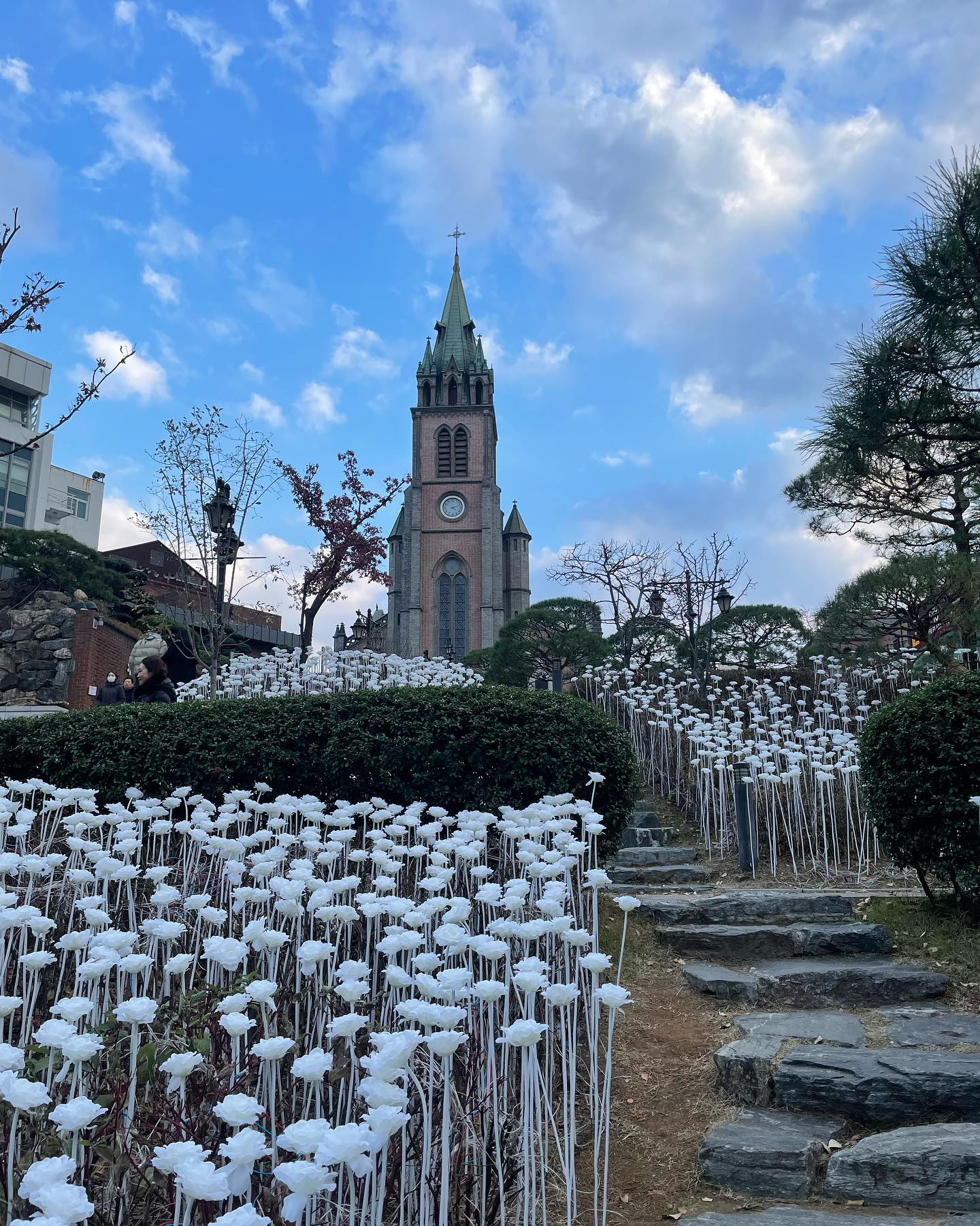 매년 12월이면 다녀오는곳..
명동 성당에 앉아서 🙏

명동성당 뷰가 보이는 
몰토카페는 이번에도 못갔네요.

#명동성당⛪️ #몰토카페 
#몰토카페포기 #기도🙏 
#명동데이트코스 #명동거리에서 
#명동성당💒